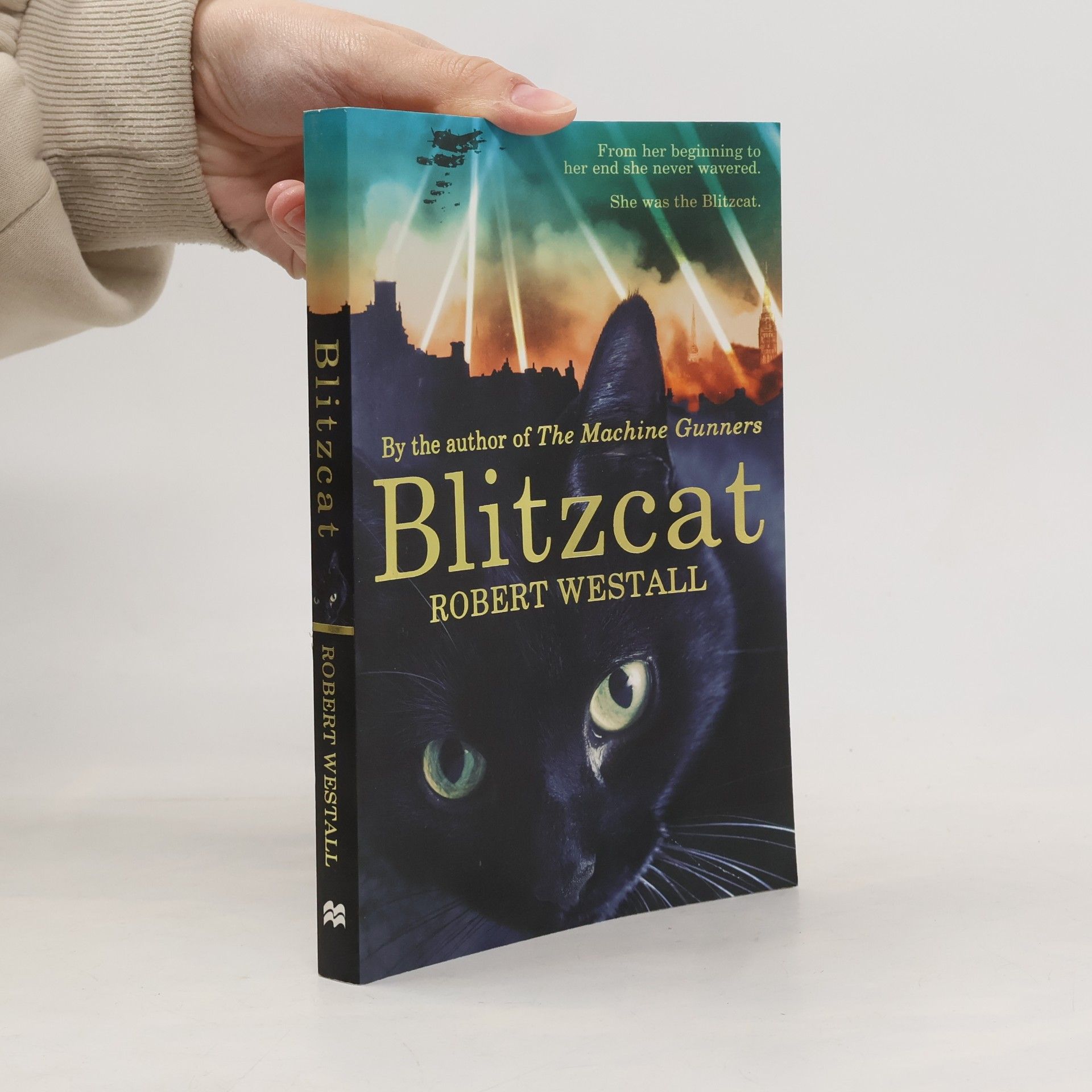 Robert Westall Blitzcat