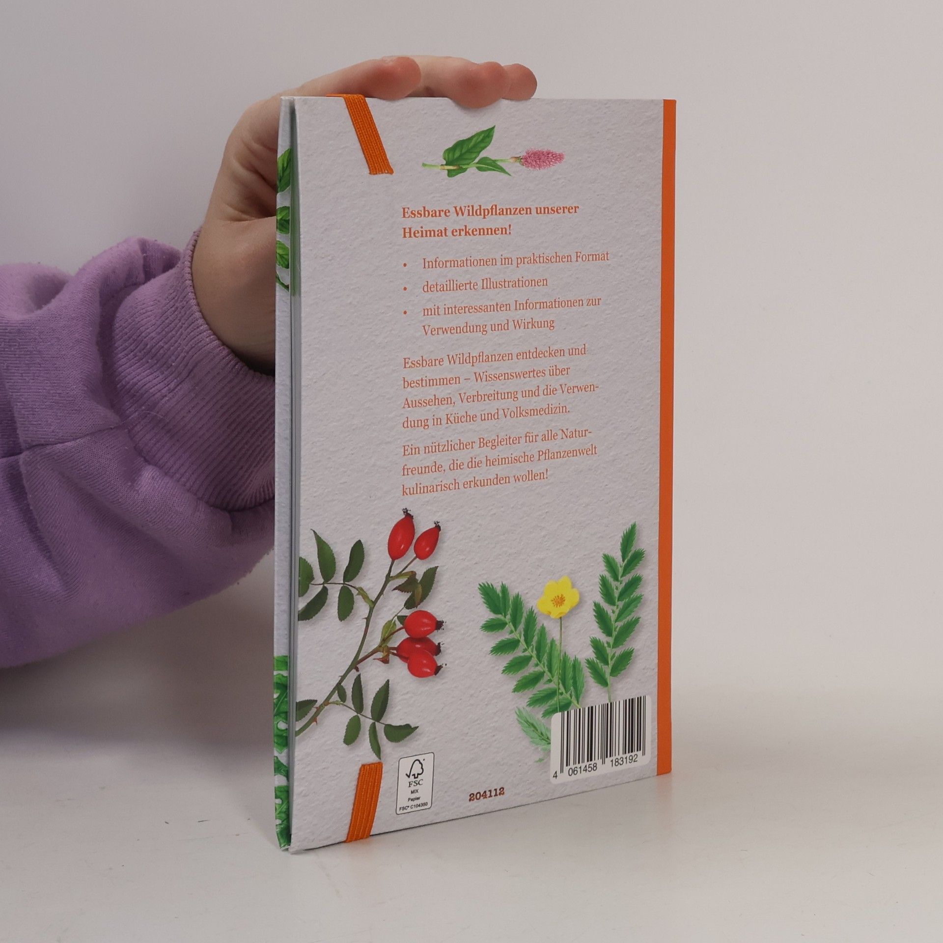 Collectif d'auteurs Essbare Wildpflanzen bestimmen und verwenden