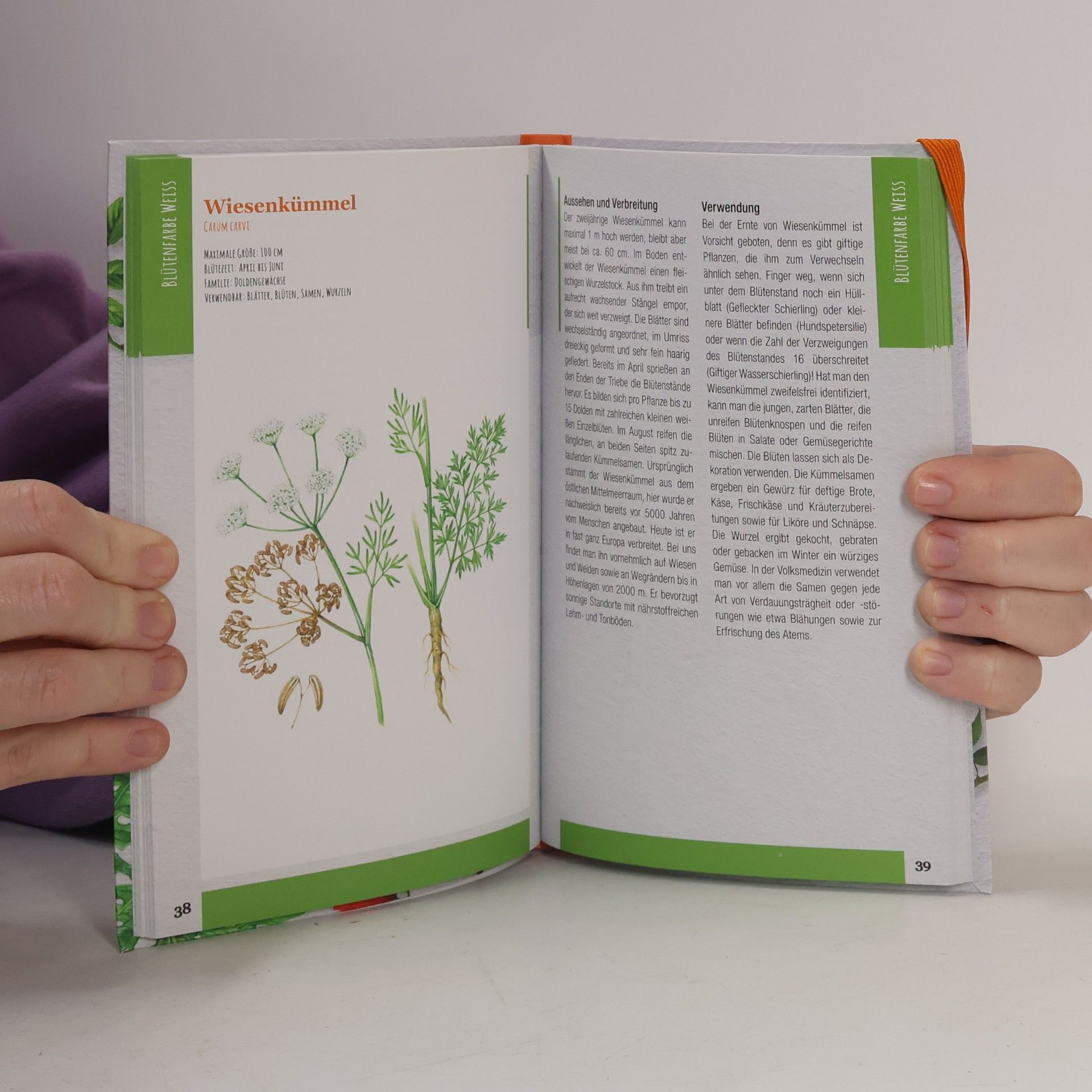 Collectif d'auteurs Essbare Wildpflanzen bestimmen und verwenden