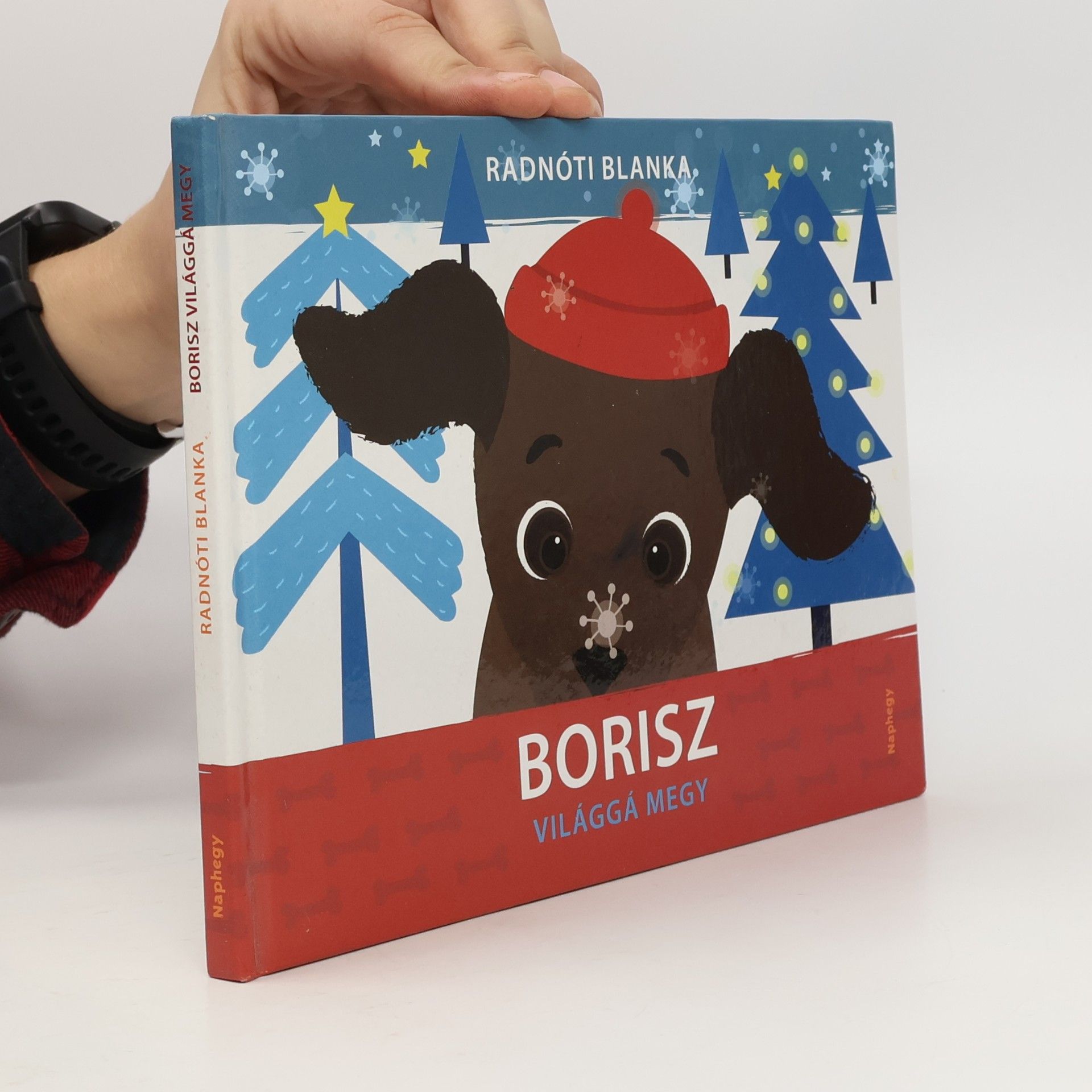 Borisz világgá megy