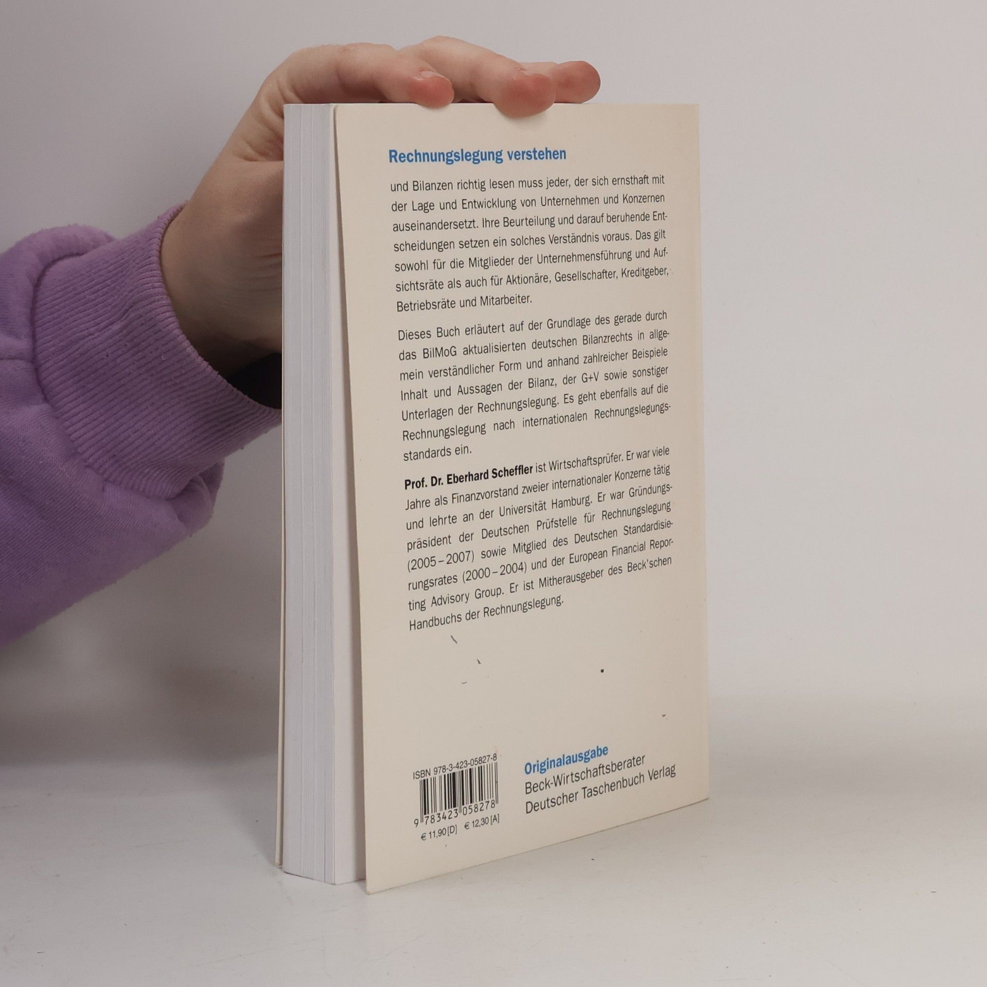 Eberhard Scheffler Bilanzen richtig lesen