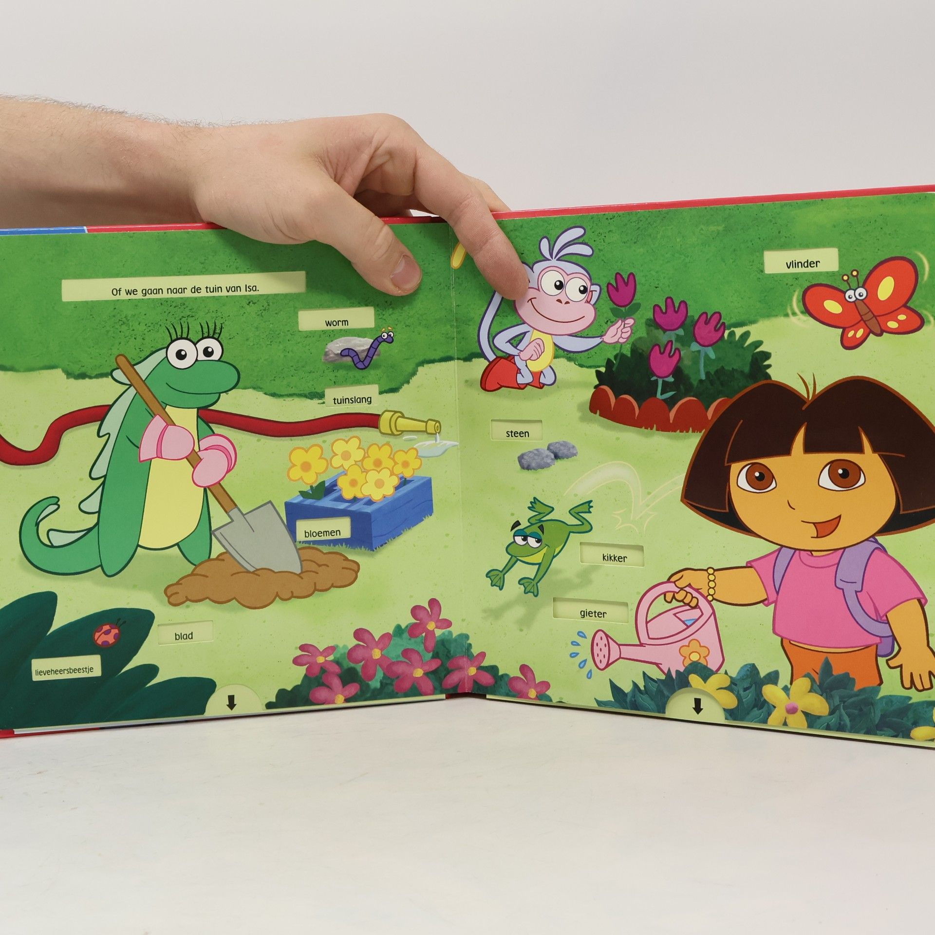 Phoebe Beinstein Engels leren met Dora