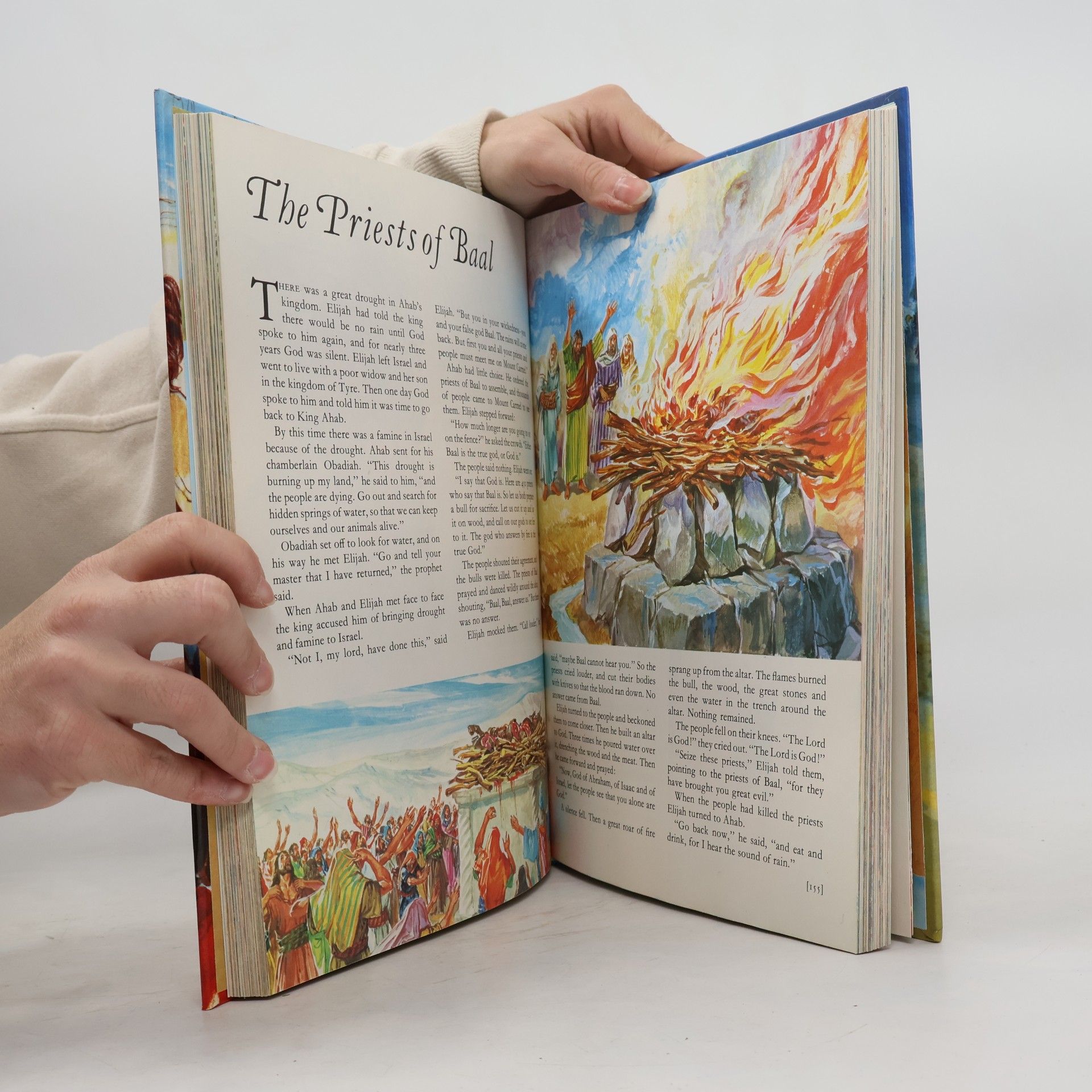 Bridget Hadaway The Bible for Children