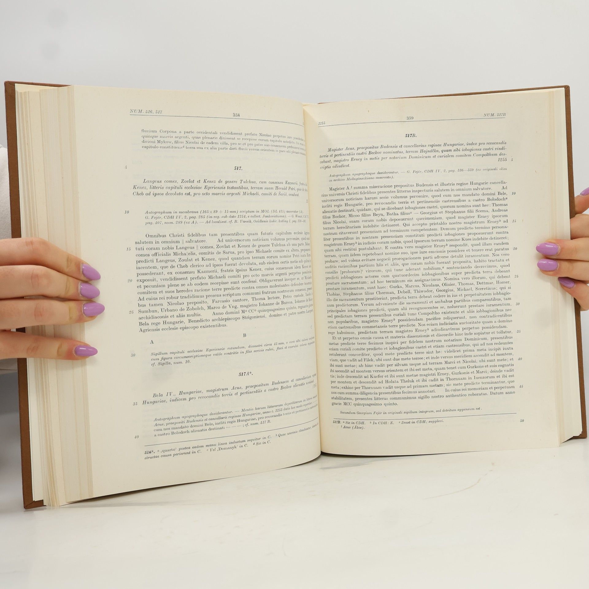 Richard Marsina Codex Diplomaticus et Epistolaris Slovaciae 2