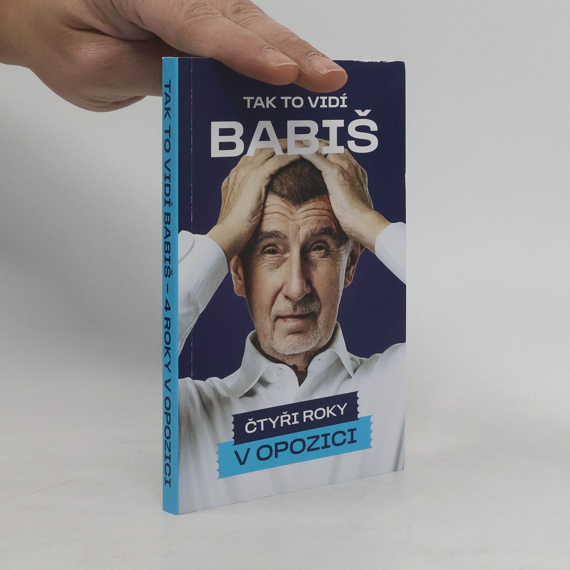 Tak to vidí Babiš
