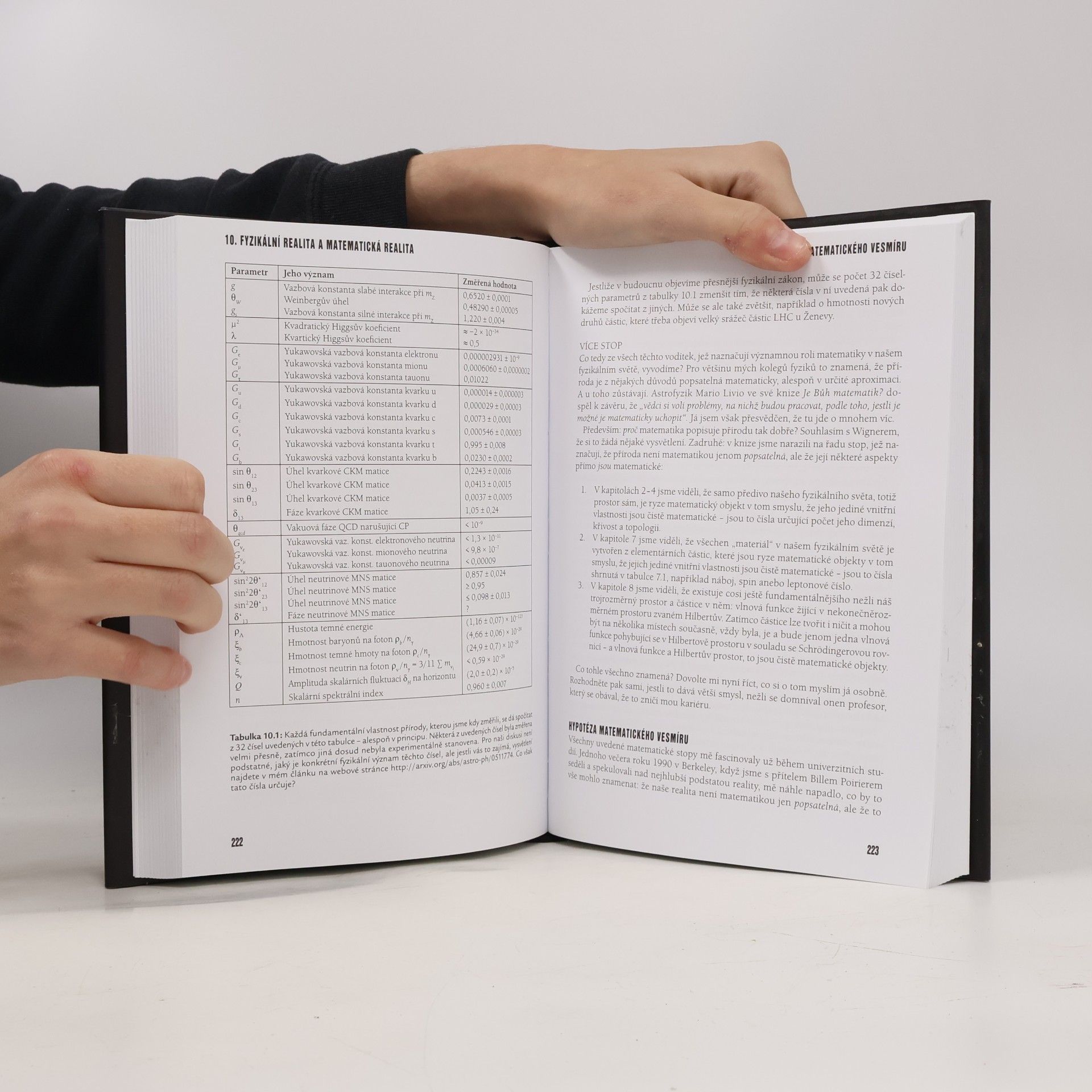 Max Tegmark Matematický vesmír