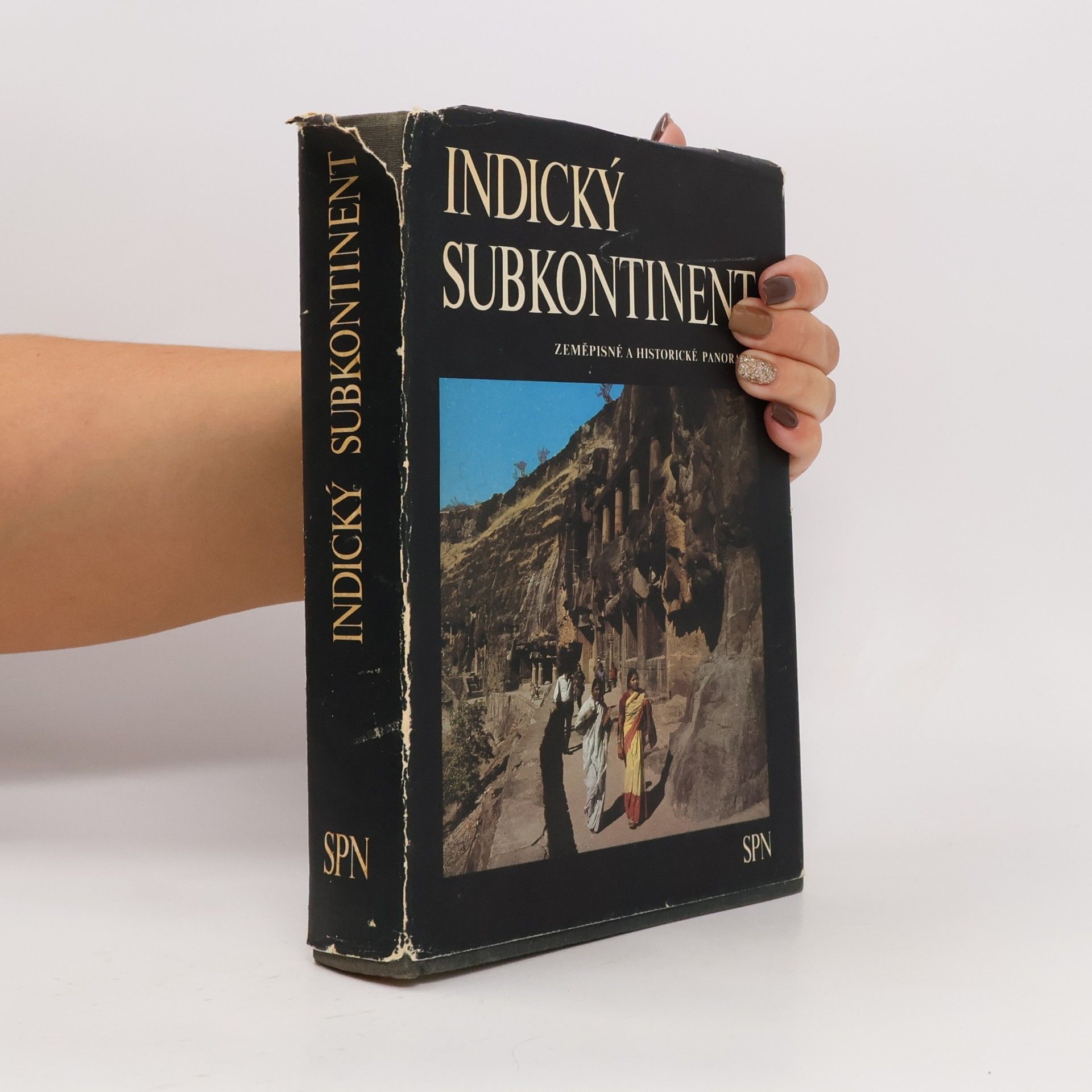 Indický subkontinent. Zeměpisné a historické panoráma