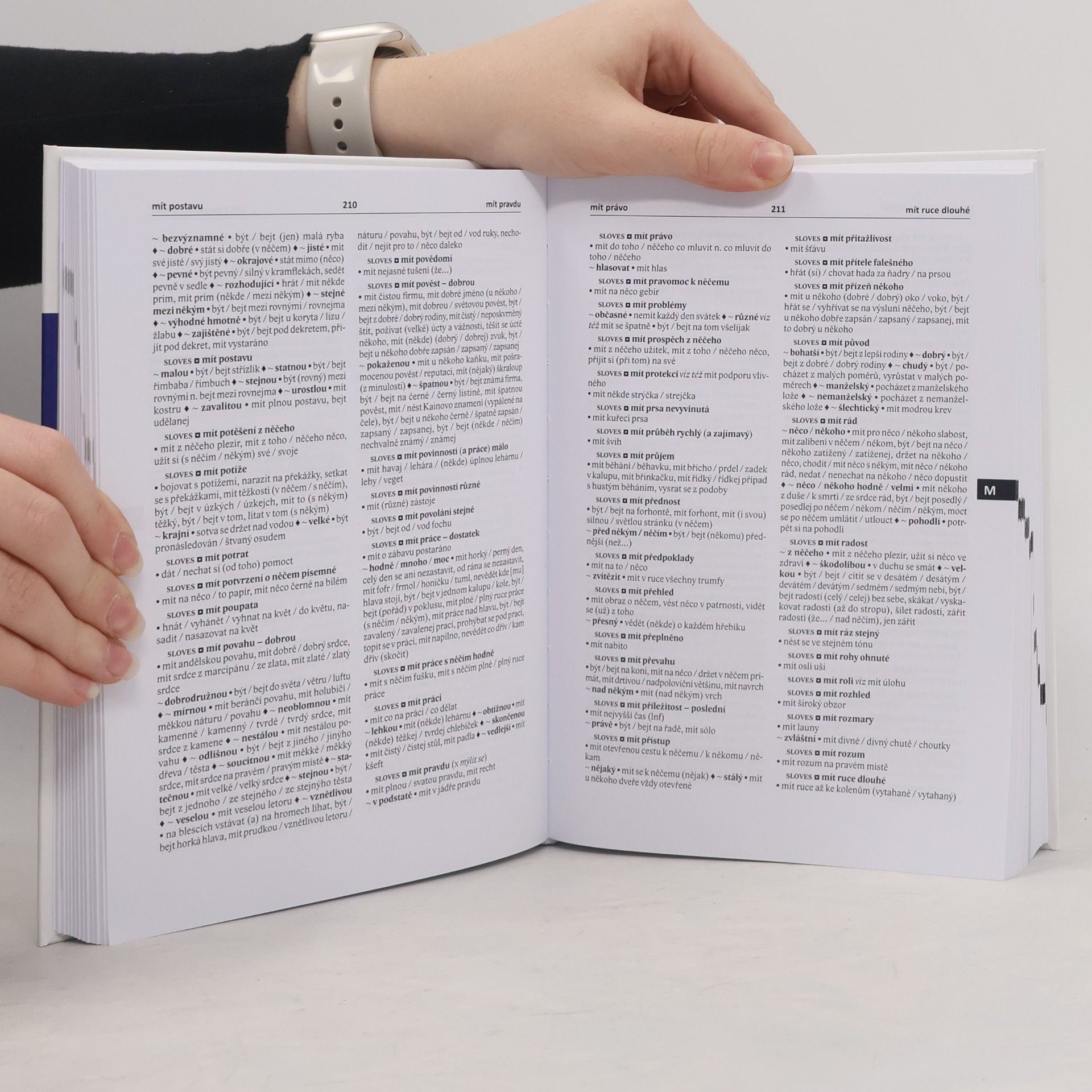 František Čermák Slovník české frazeologie a idiomatiky 5: Onomaziologický slovník