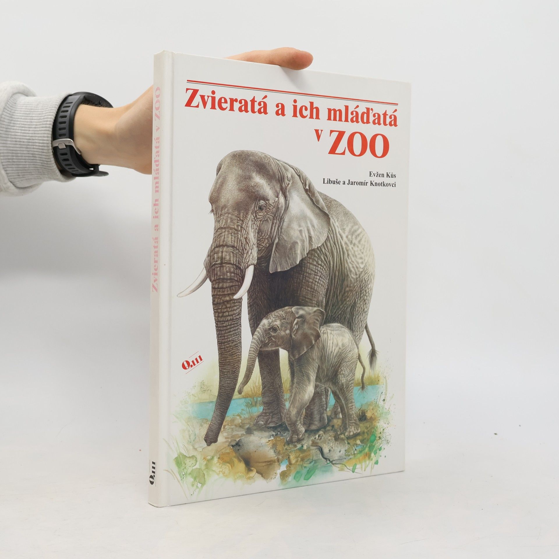 Zvieratá a ich mláďatá v ZOO