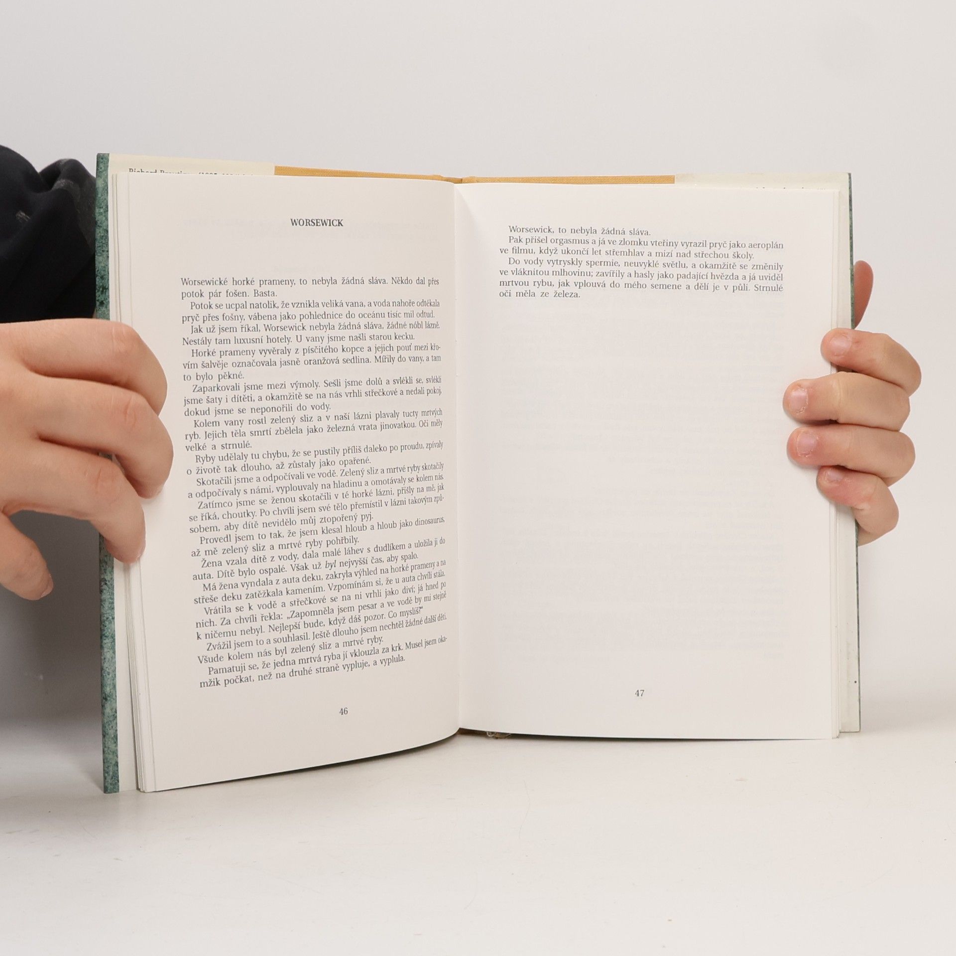 Richard Brautigan Chytání pstruhů v Americe