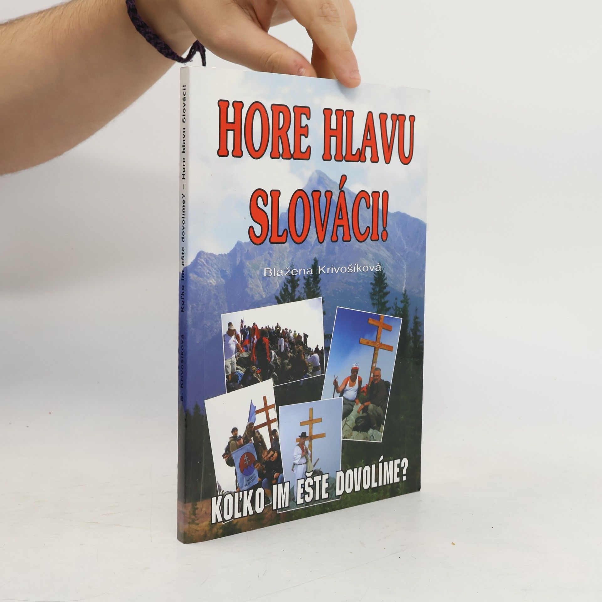Hore hlavu Slováci! (Koľko im ešte dovolíme?)