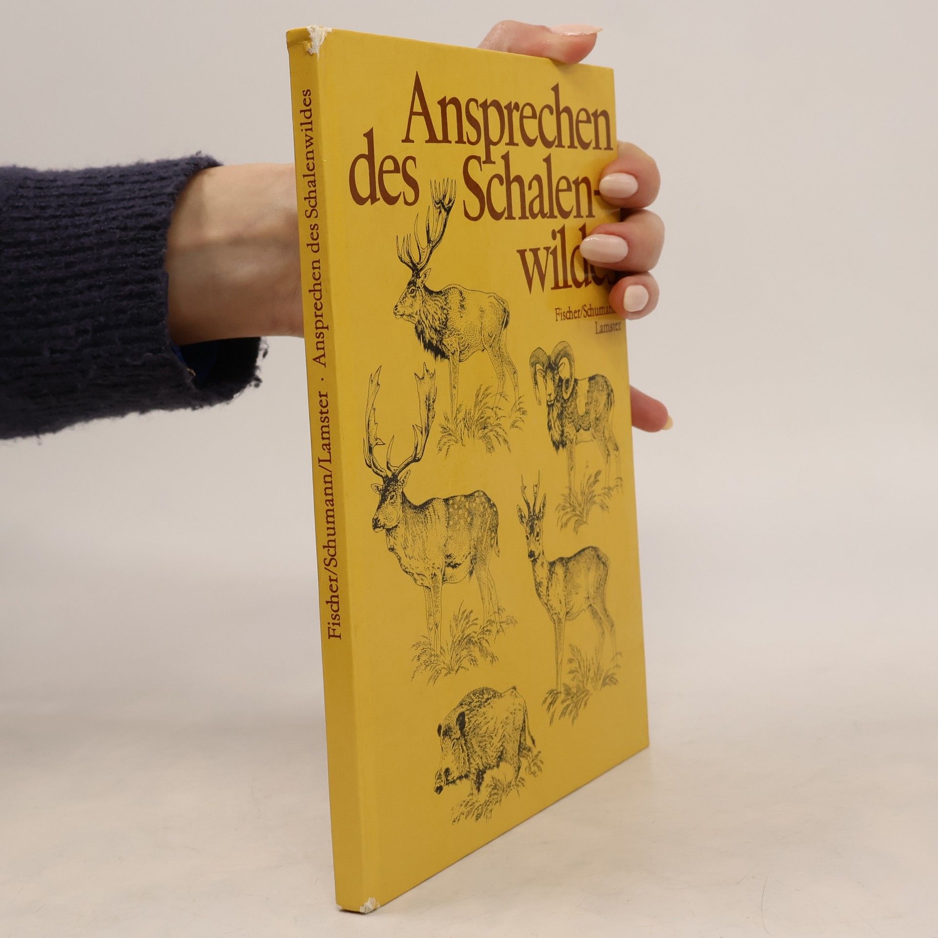 Ansprechen des Schalenwildes