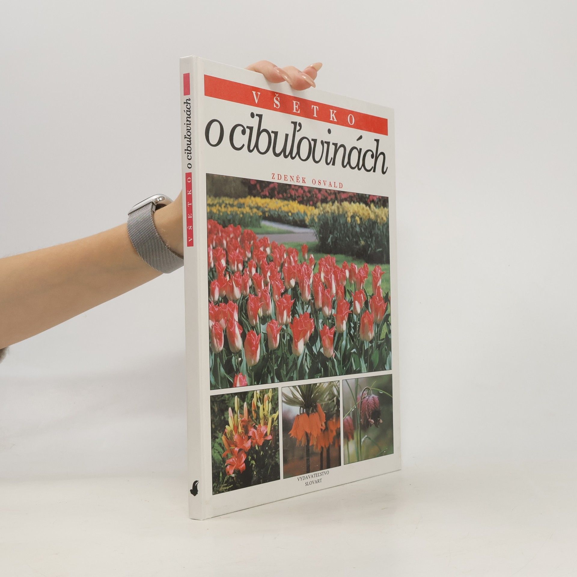 Všetko o cibuľovinách
