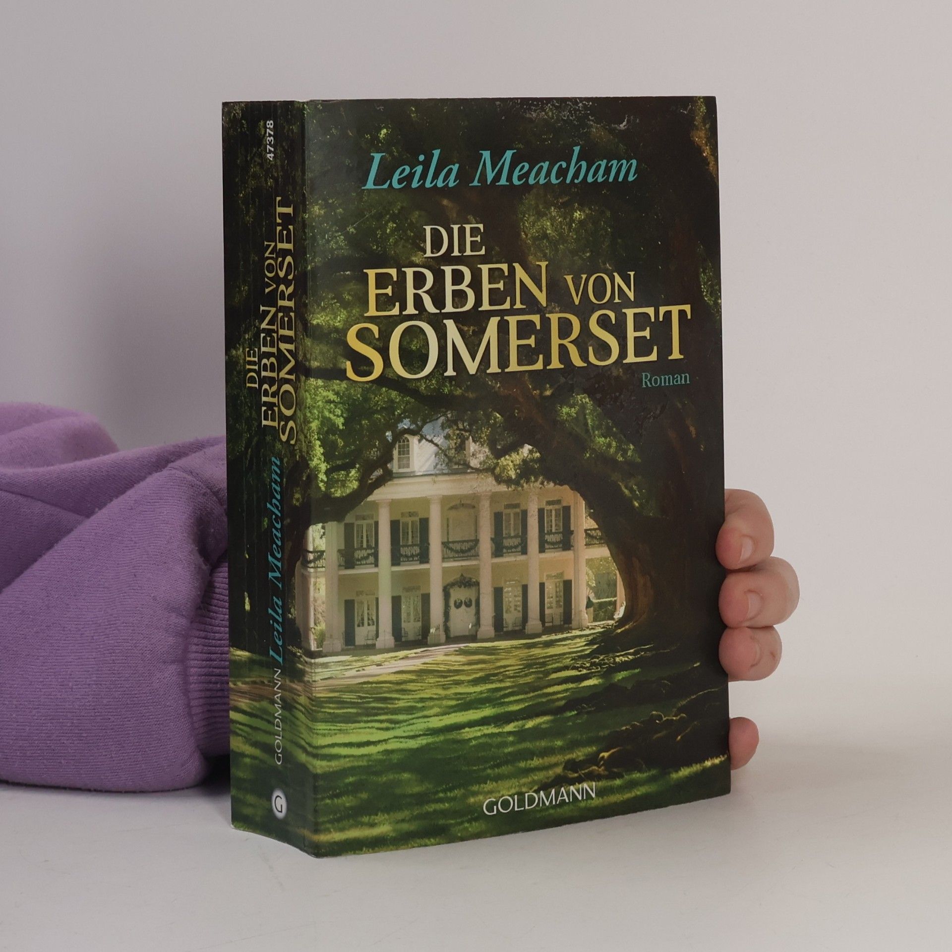 Die Erben von Somerset