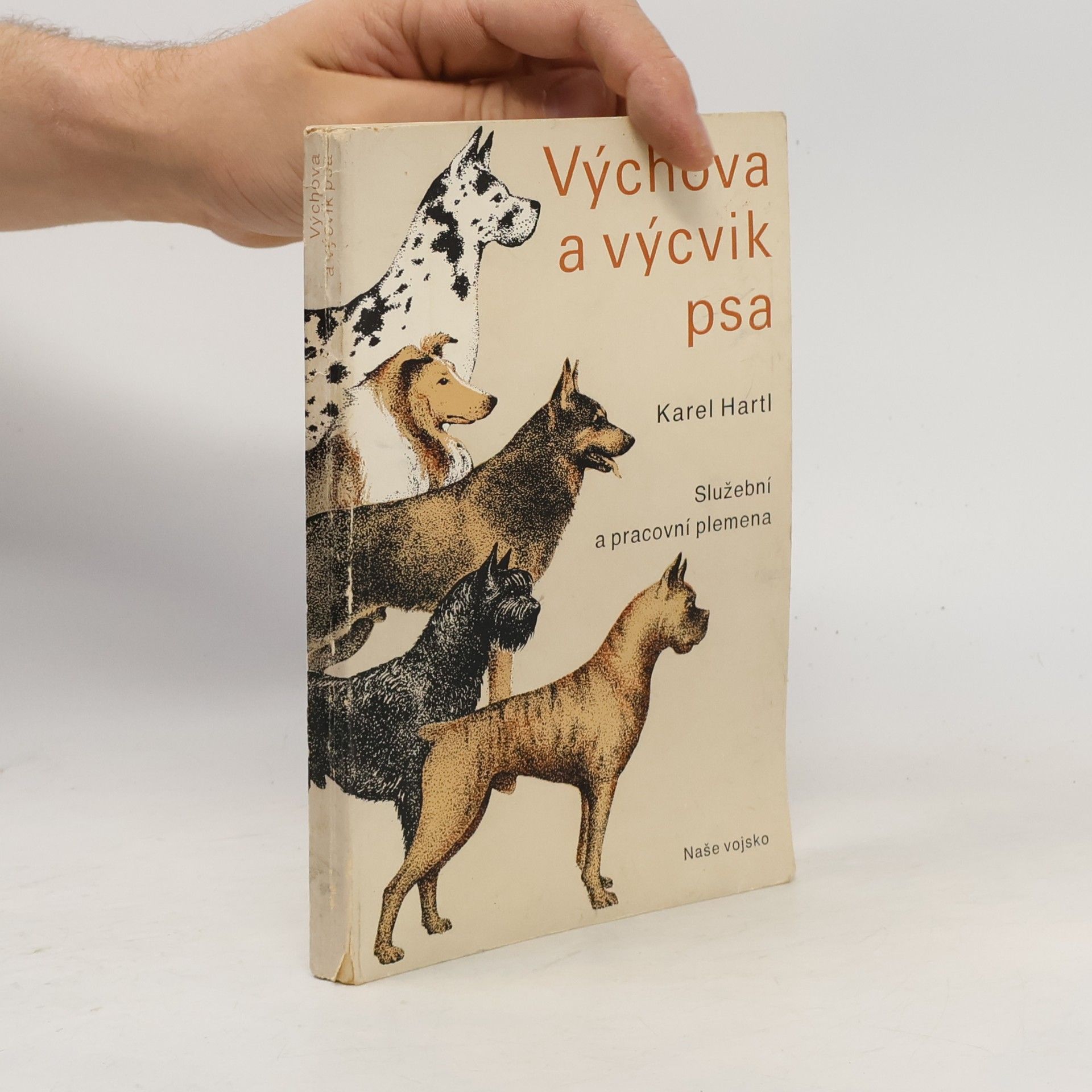 Výchova a výcvik psa
