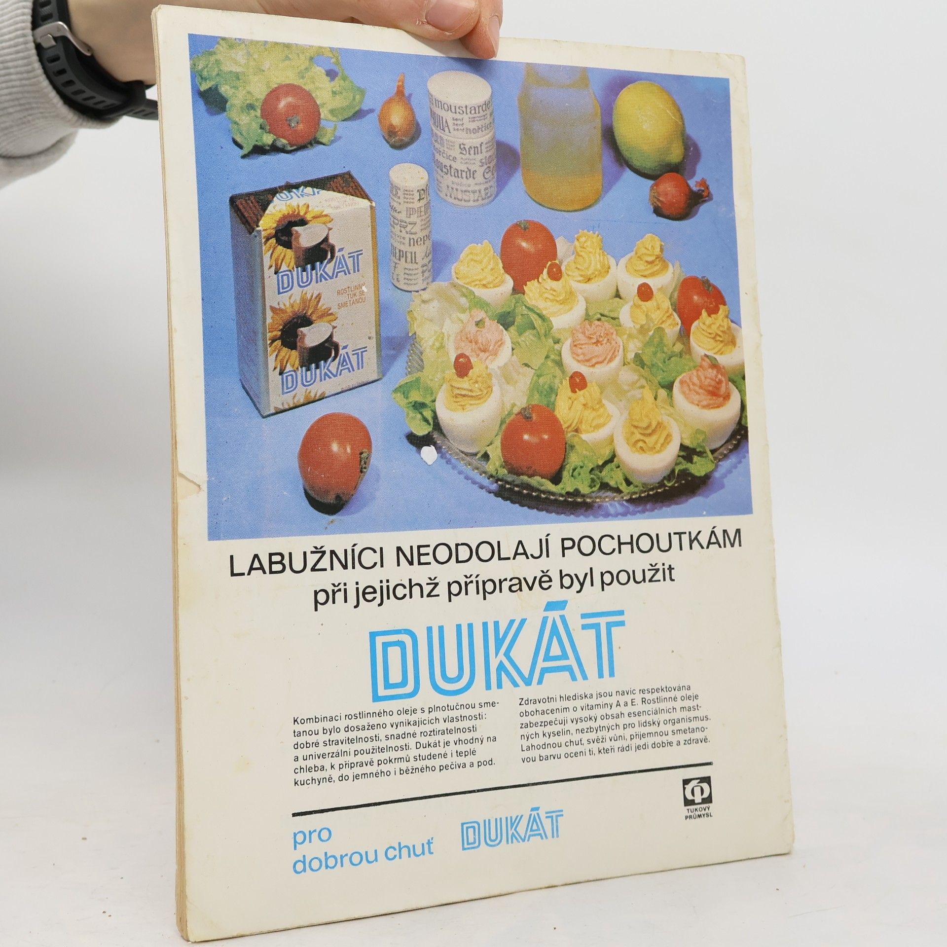 Lea Filipová Pohoštění doma i v kolektivu 33
