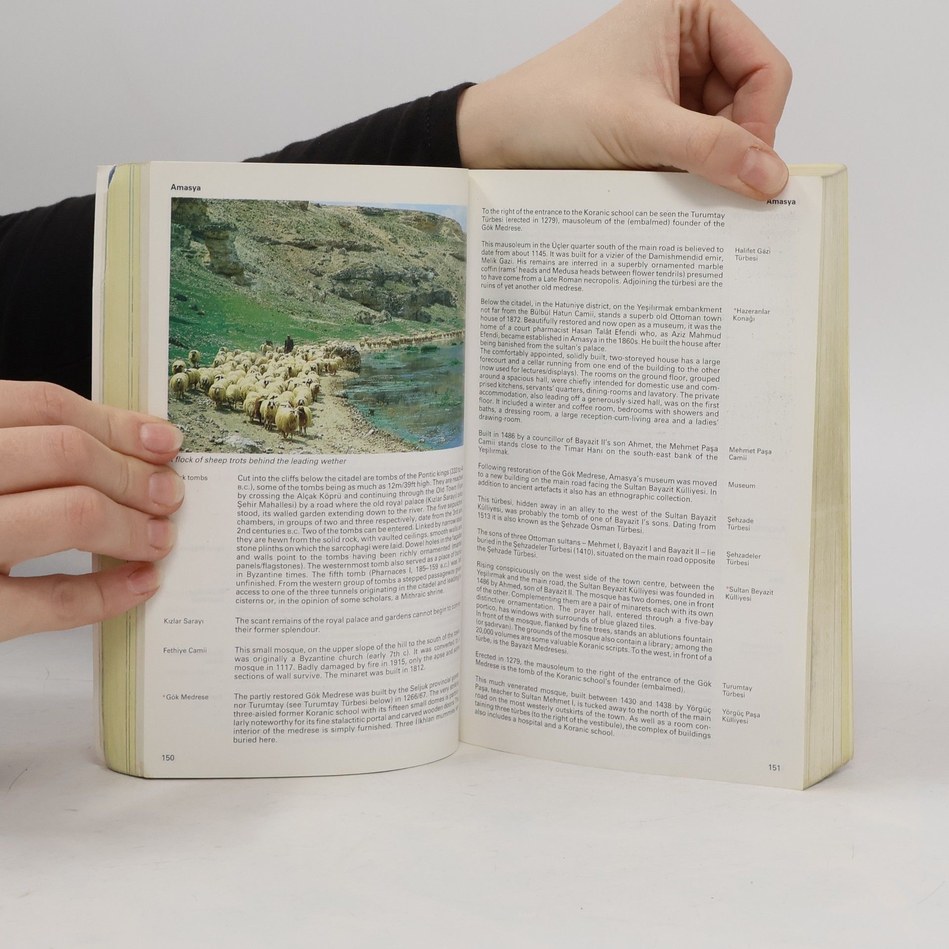 SONS Baedeker's Travel Guides: Baedeker Turkey