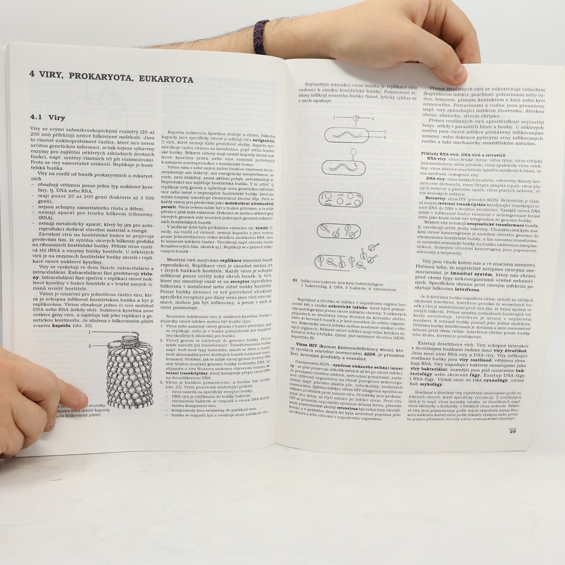 Zdeňka Drahokoupilová Kapitoly z obecné biologie