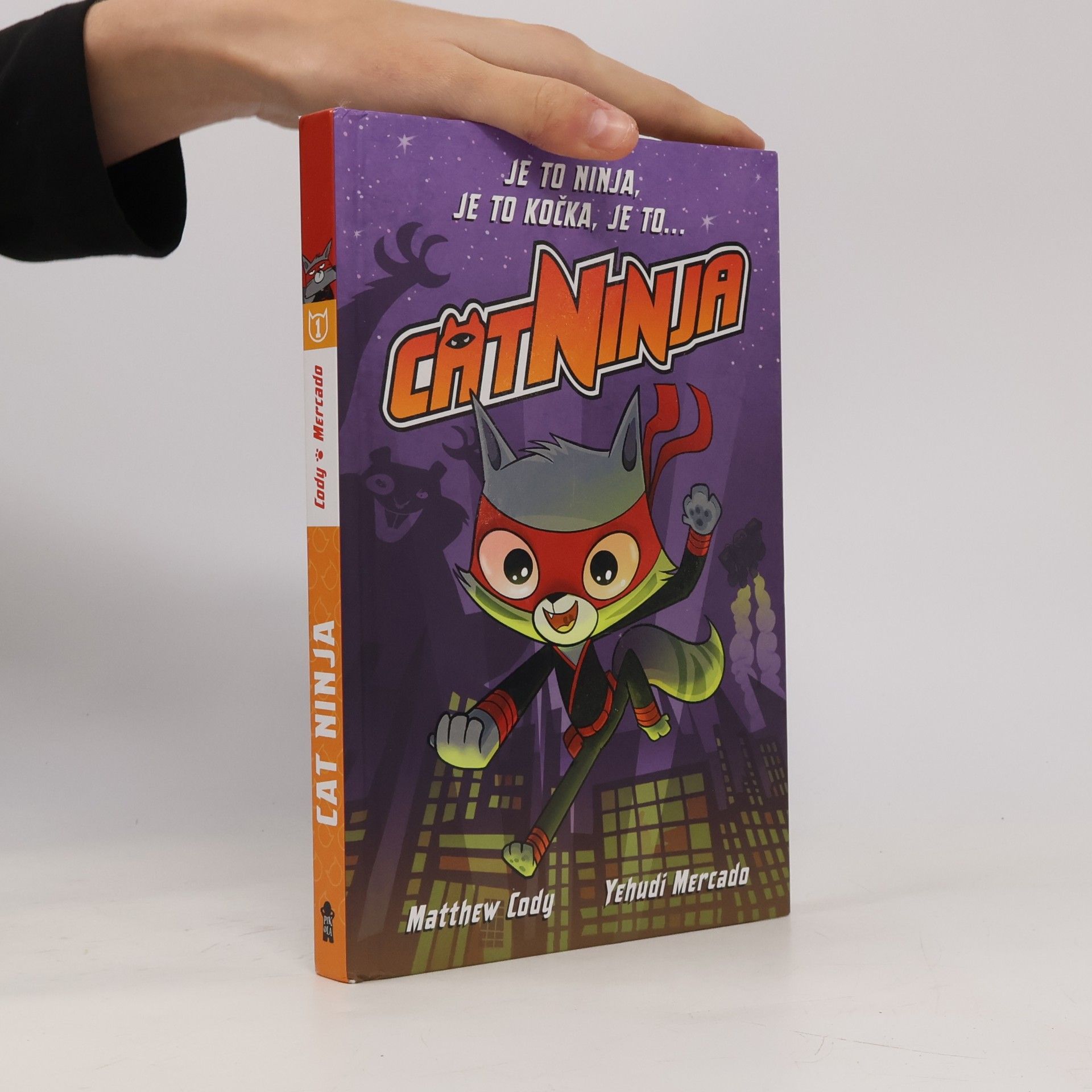 Cat Ninja