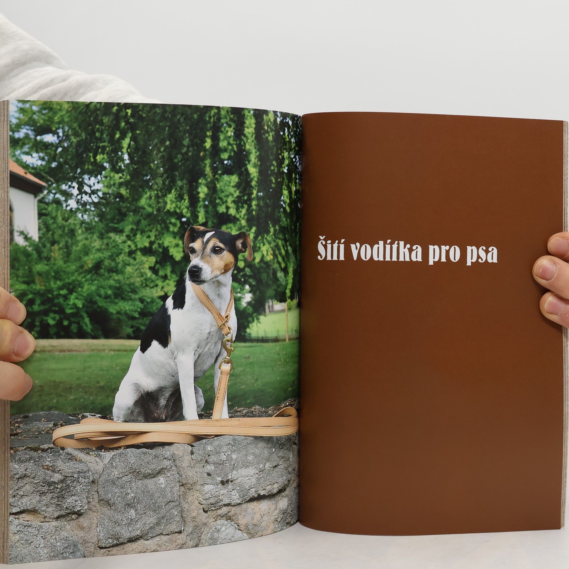 Veronika Prokopová Kůže: šití, opravy a výrobky