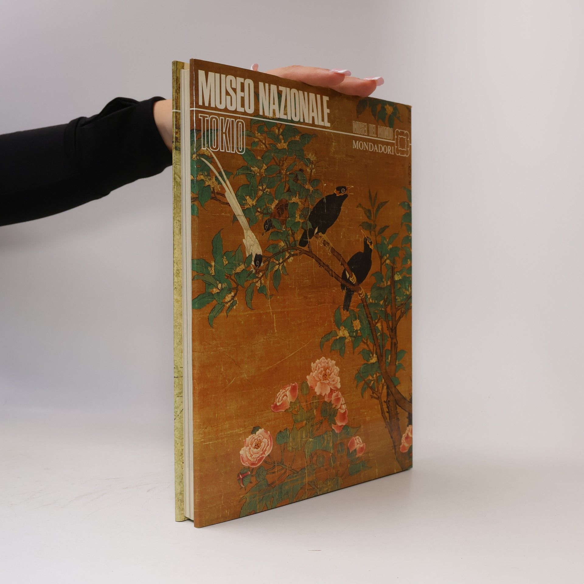 Adolfo Tamburello Museo Nazionale Tokio