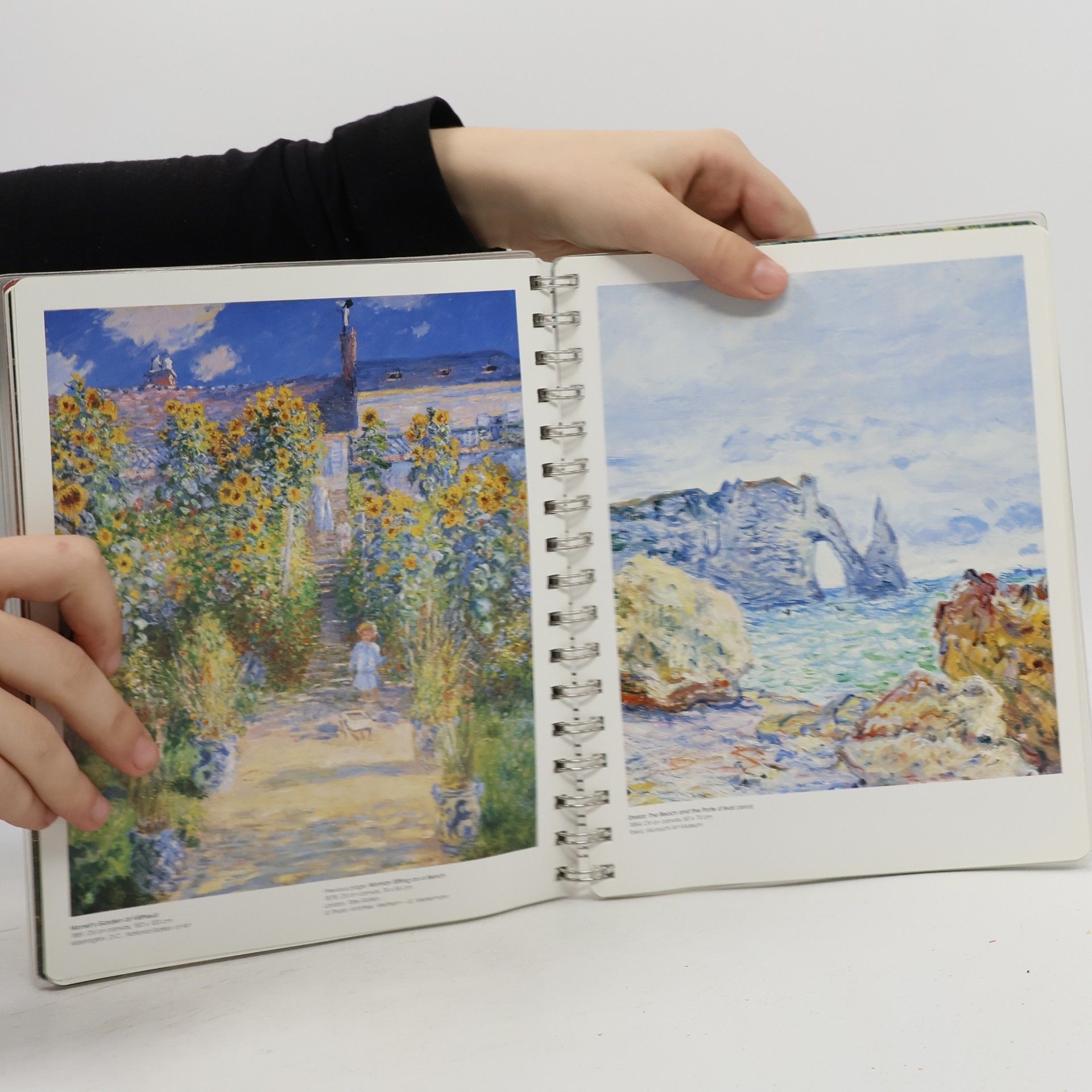 Taschen's Diaries: Monet 2008 Diary