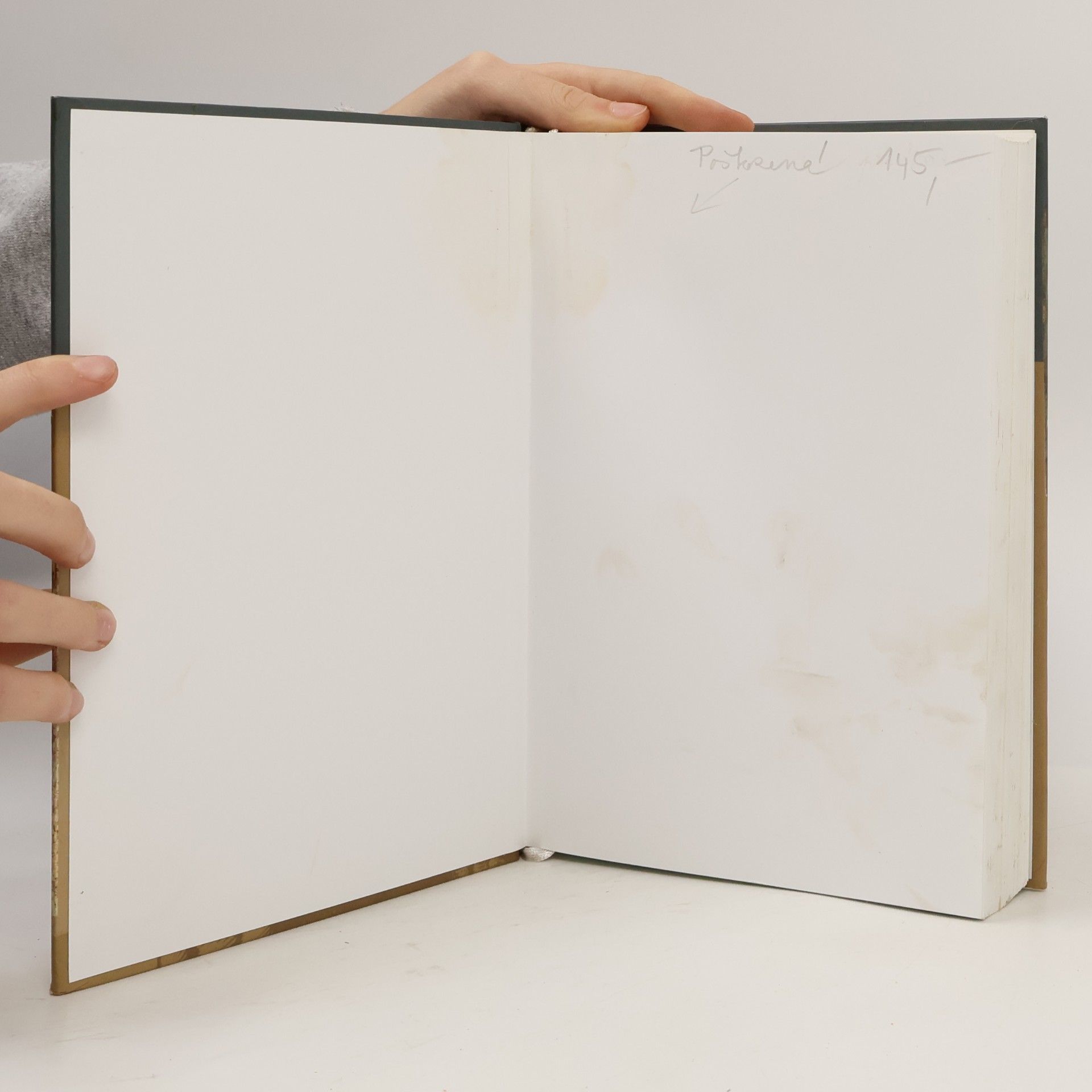 Michal Řoutil Ikona v ruském myšlení 20. století. Sborník statí a studií
