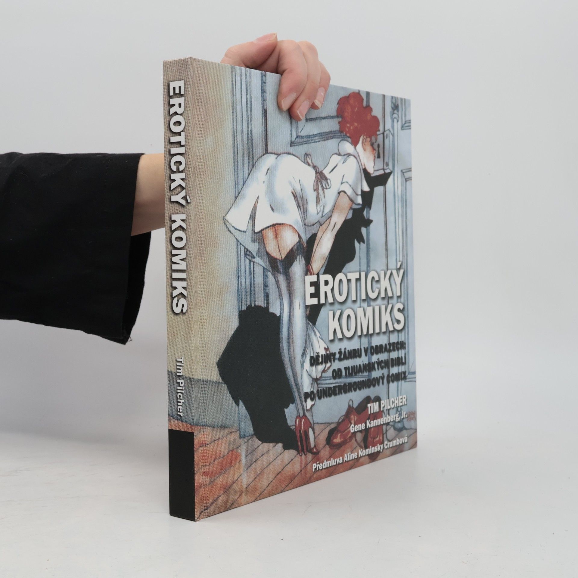 Gene Kannenberg Erotický komiks: Dějiny žánru v obrazech