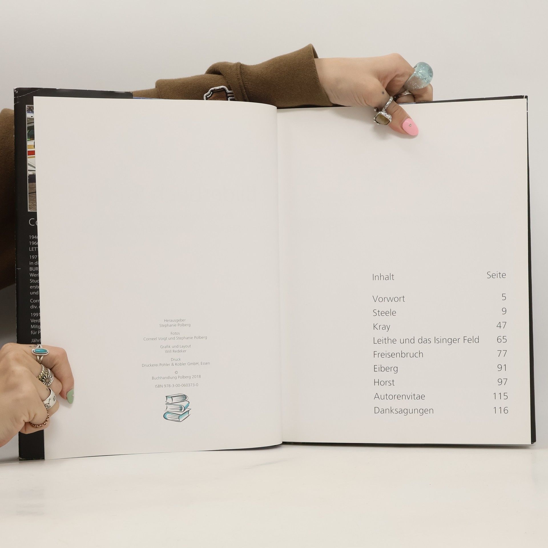 Corneel Voigt Bilderbuch Steele
