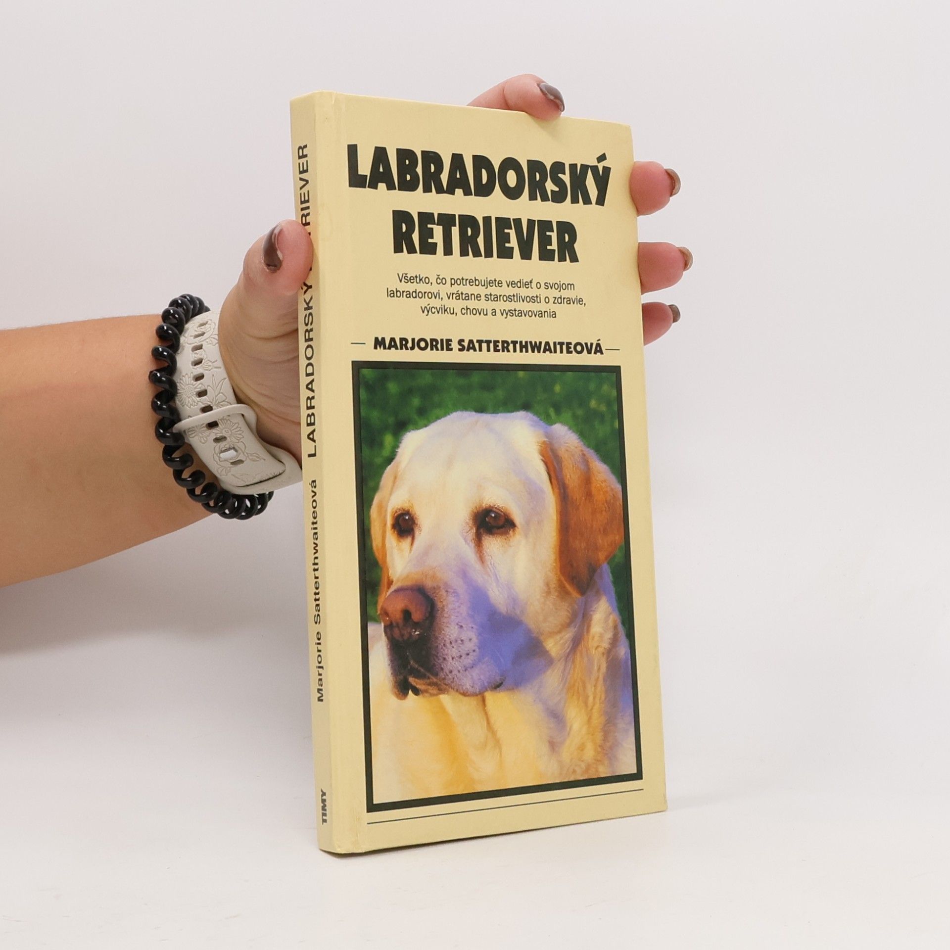 Labradorský retriever