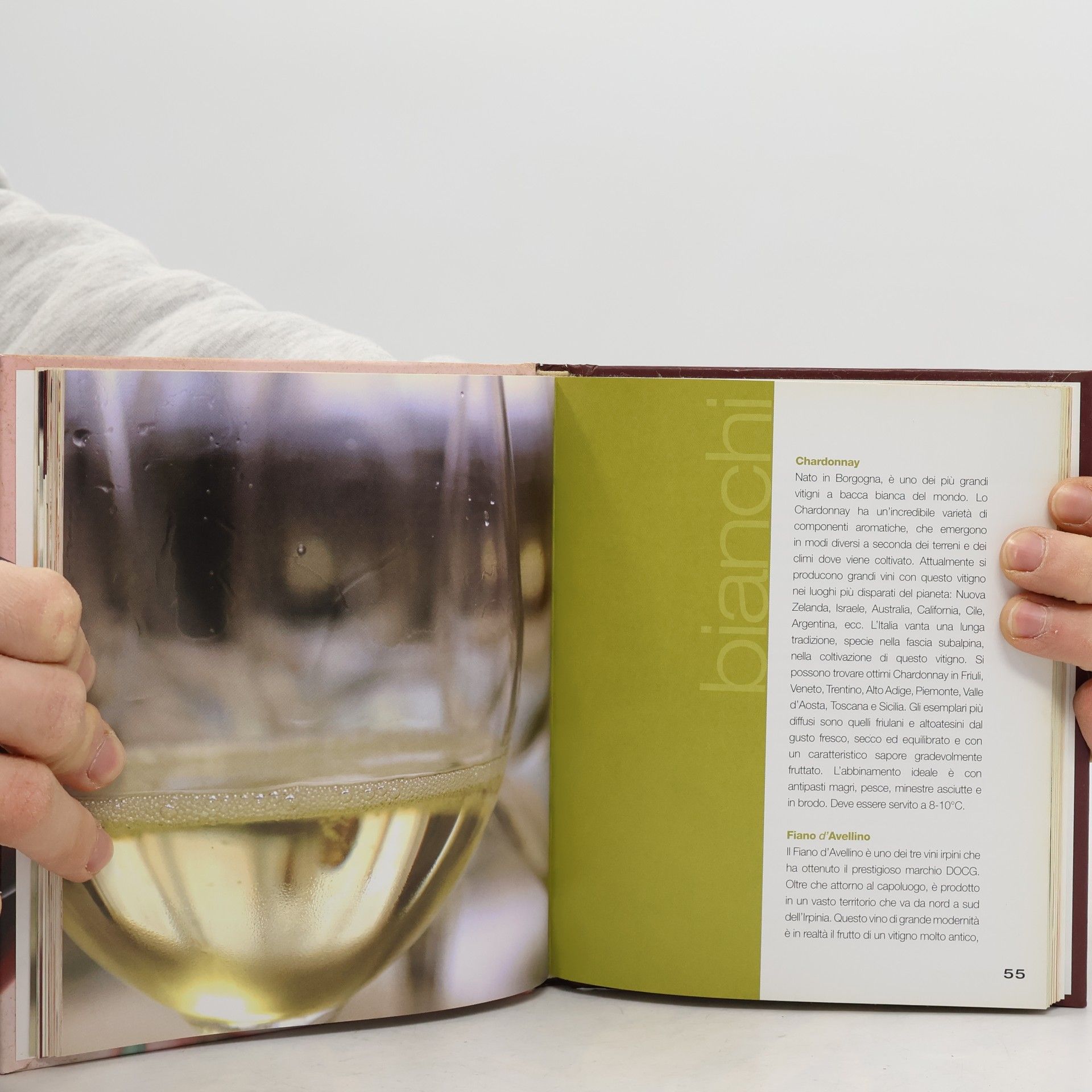 G. Gazzola Vino & cucina. Tutti i segreti per un abbinamento perfetto