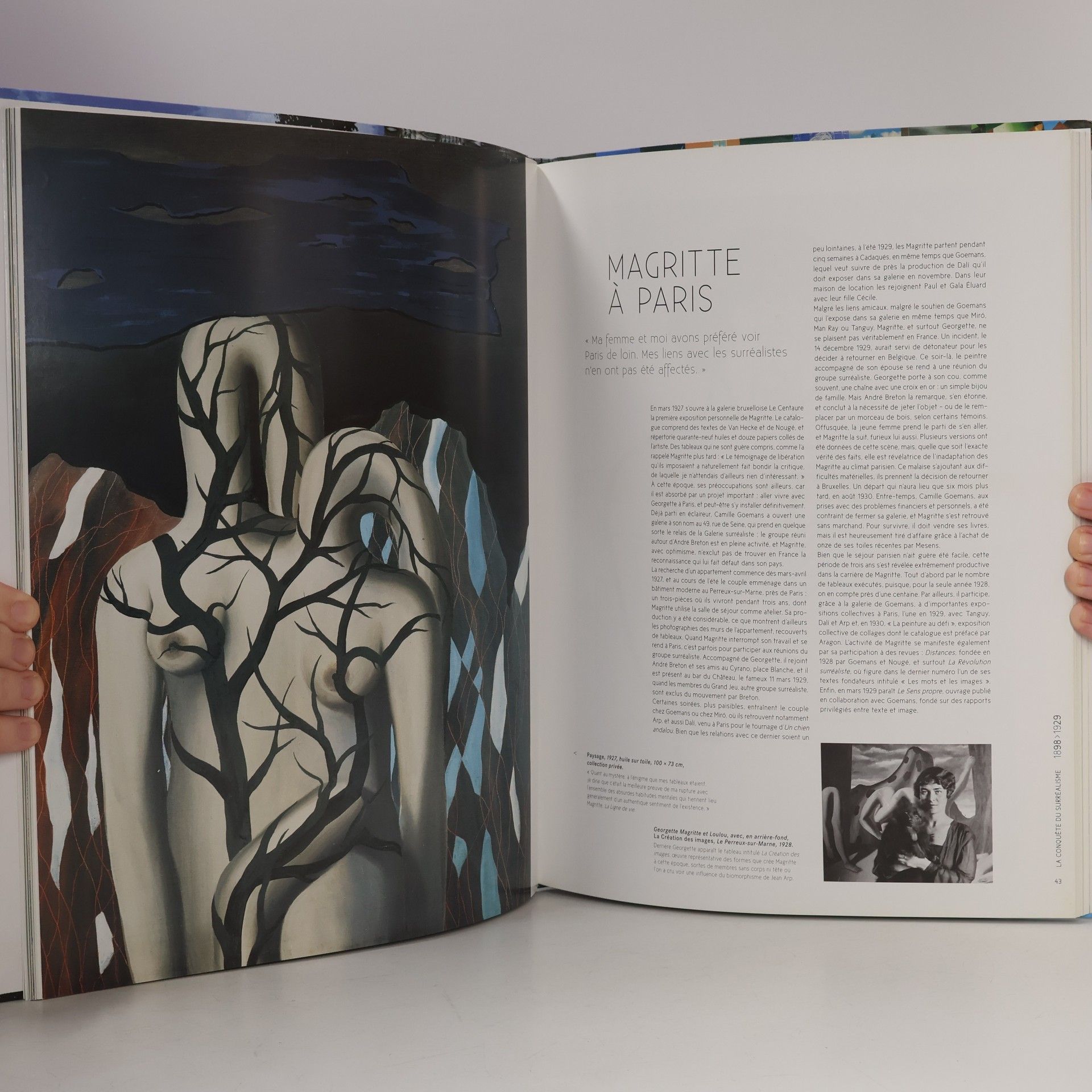Anne Sefrioui Musée Magritte Museum