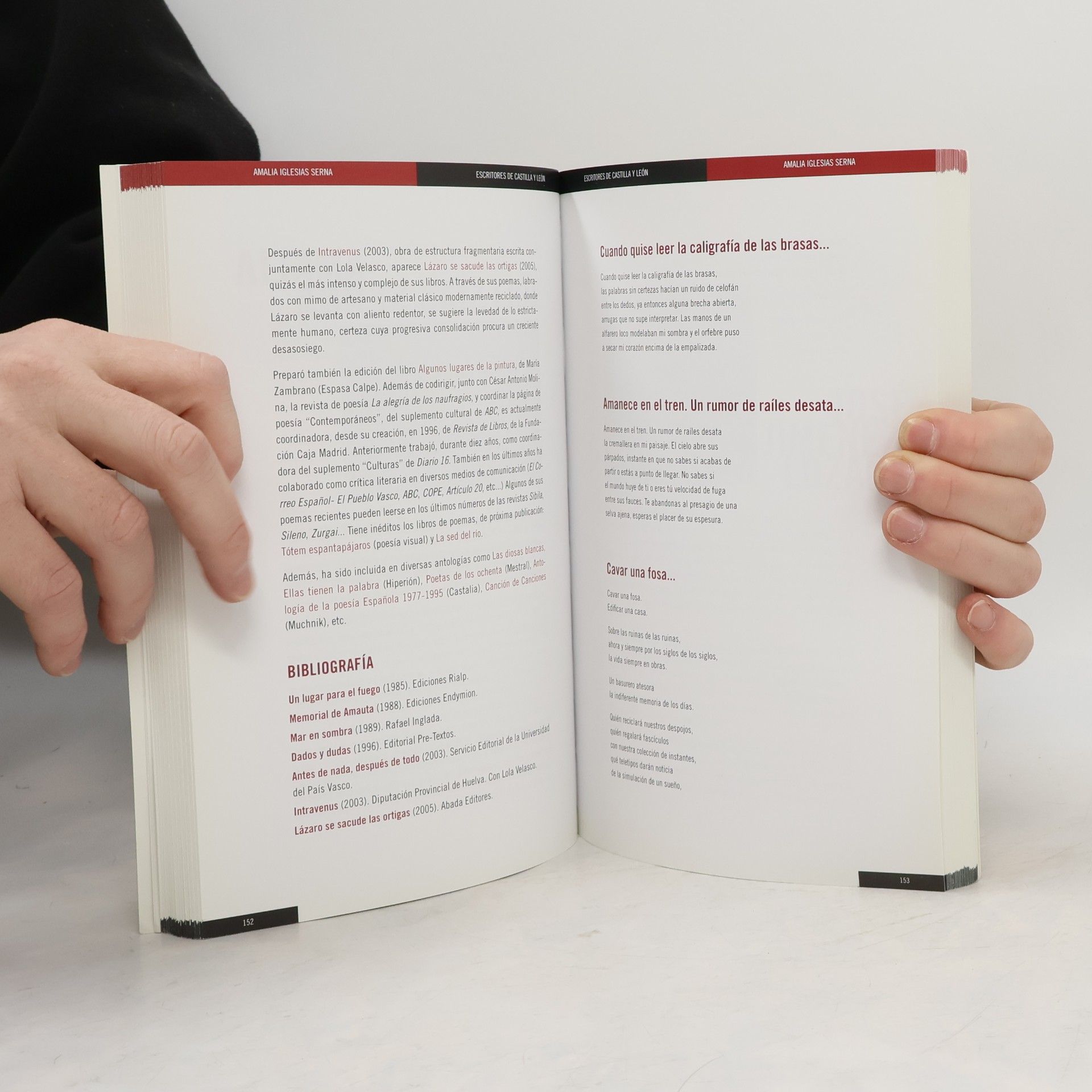 Various Escritores de Castilla y León