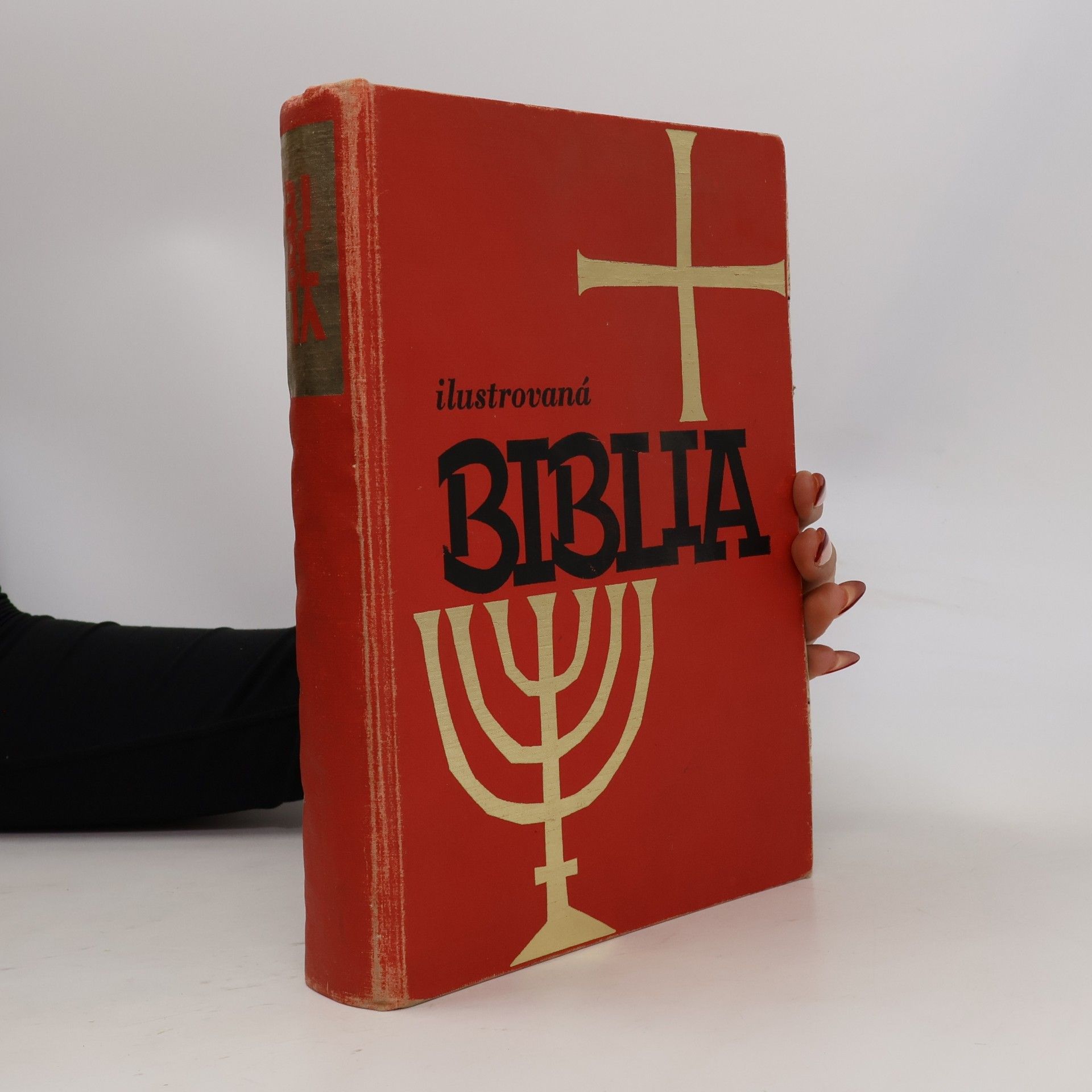 Ilustrovaná Biblia