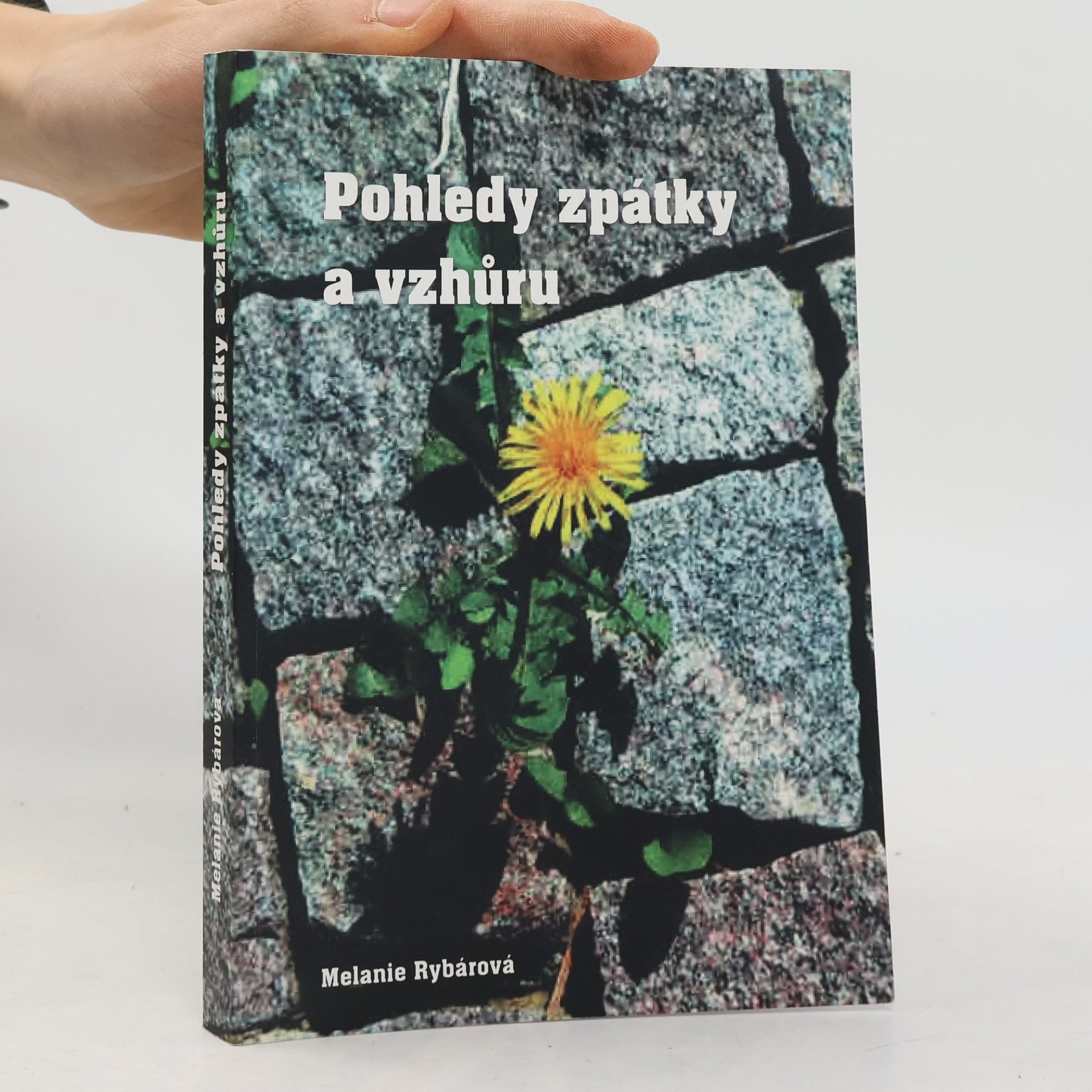 Pohledy zpátky a vzhůru