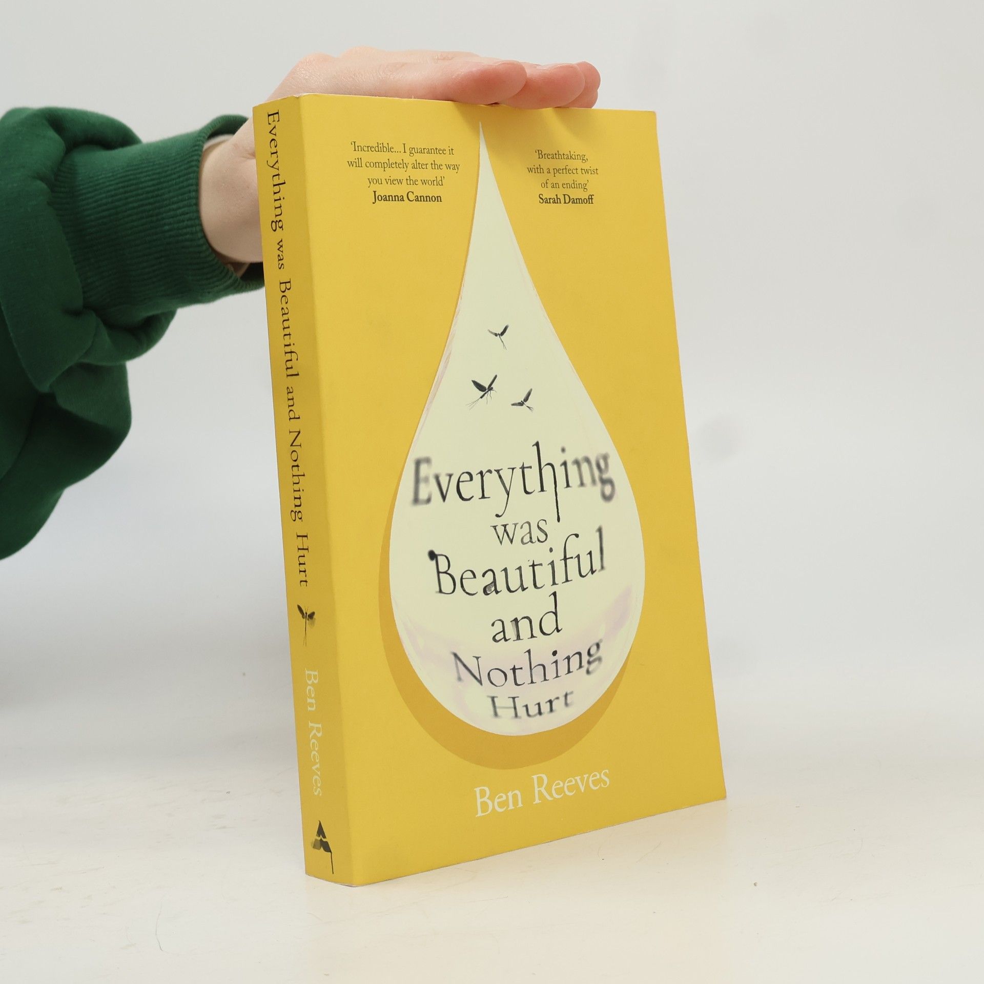 Reeves, Ben Everything Was Beautiful And Nothing Hurt
