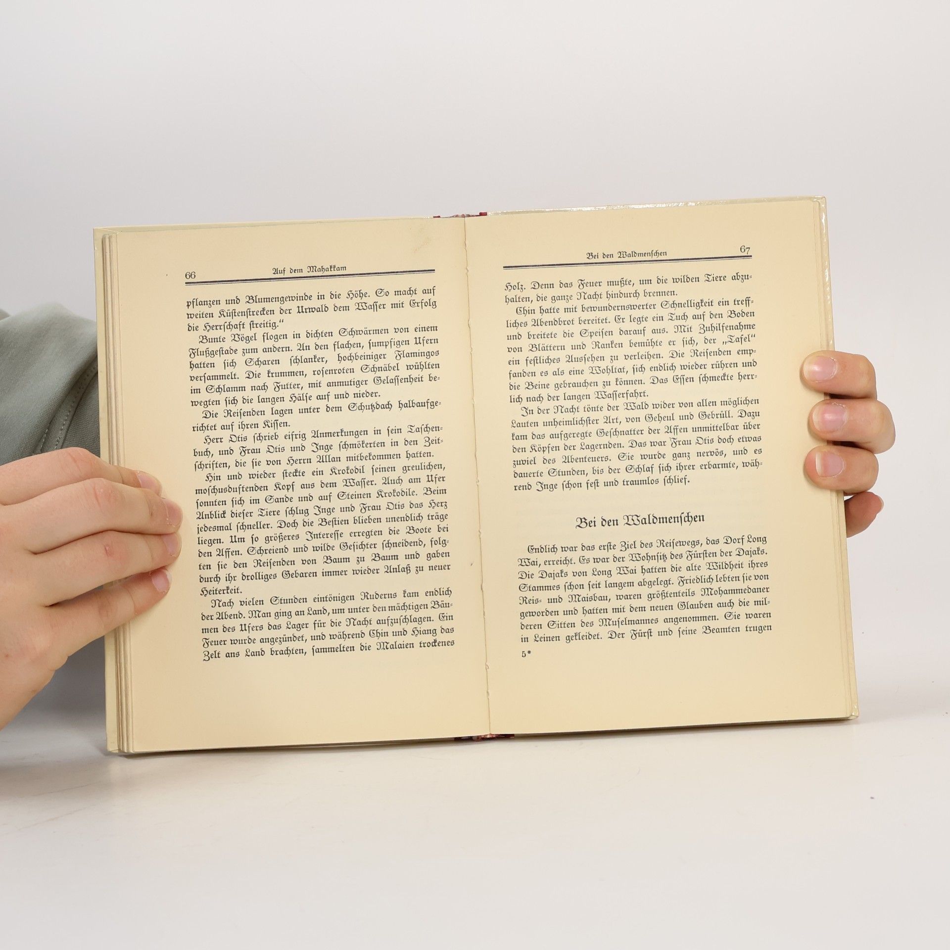 Lotte Oldenburg-Wittig Inge muss in die Welt