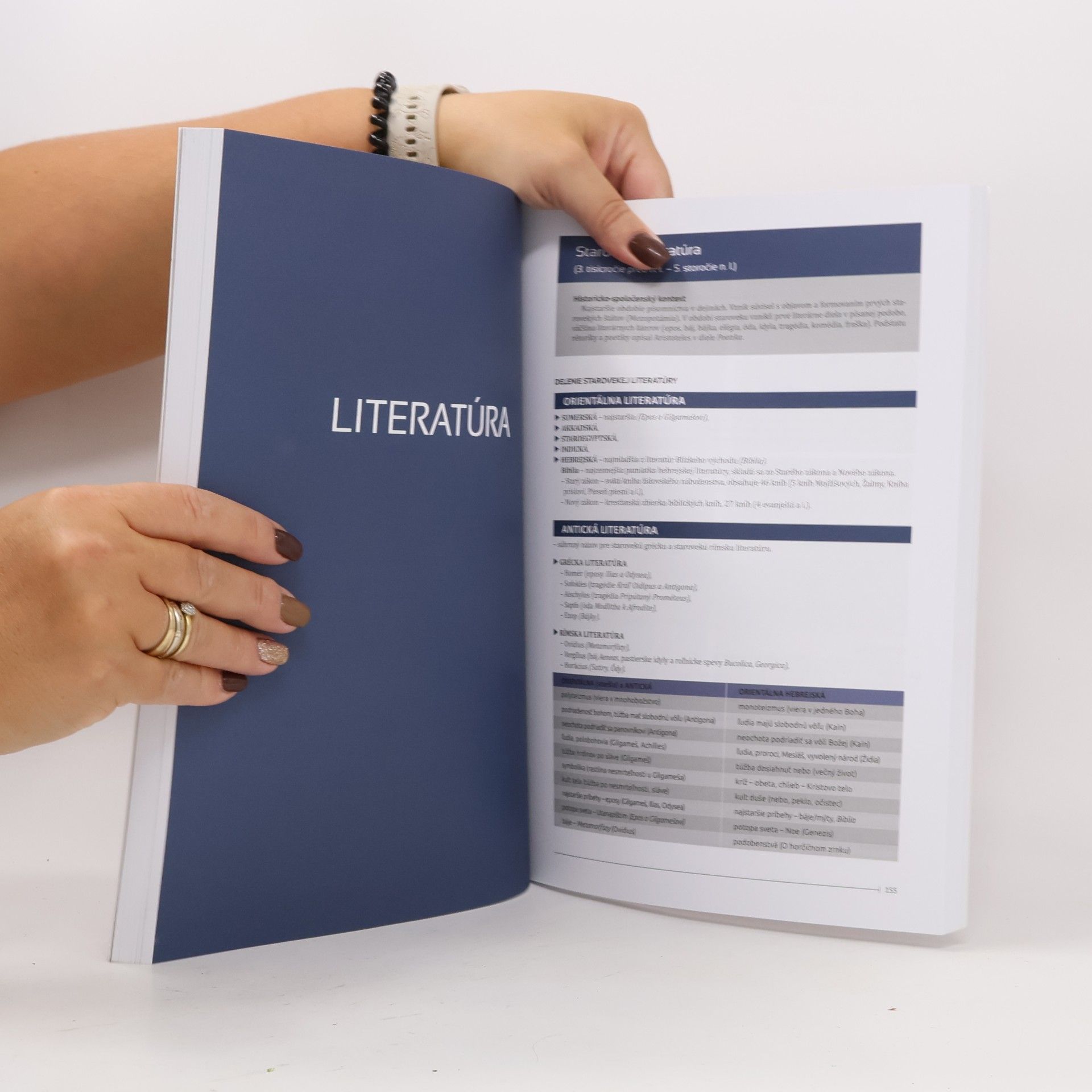 Kolektiv autorů Úspešná maturita : Slovenský jazyk a literatúra