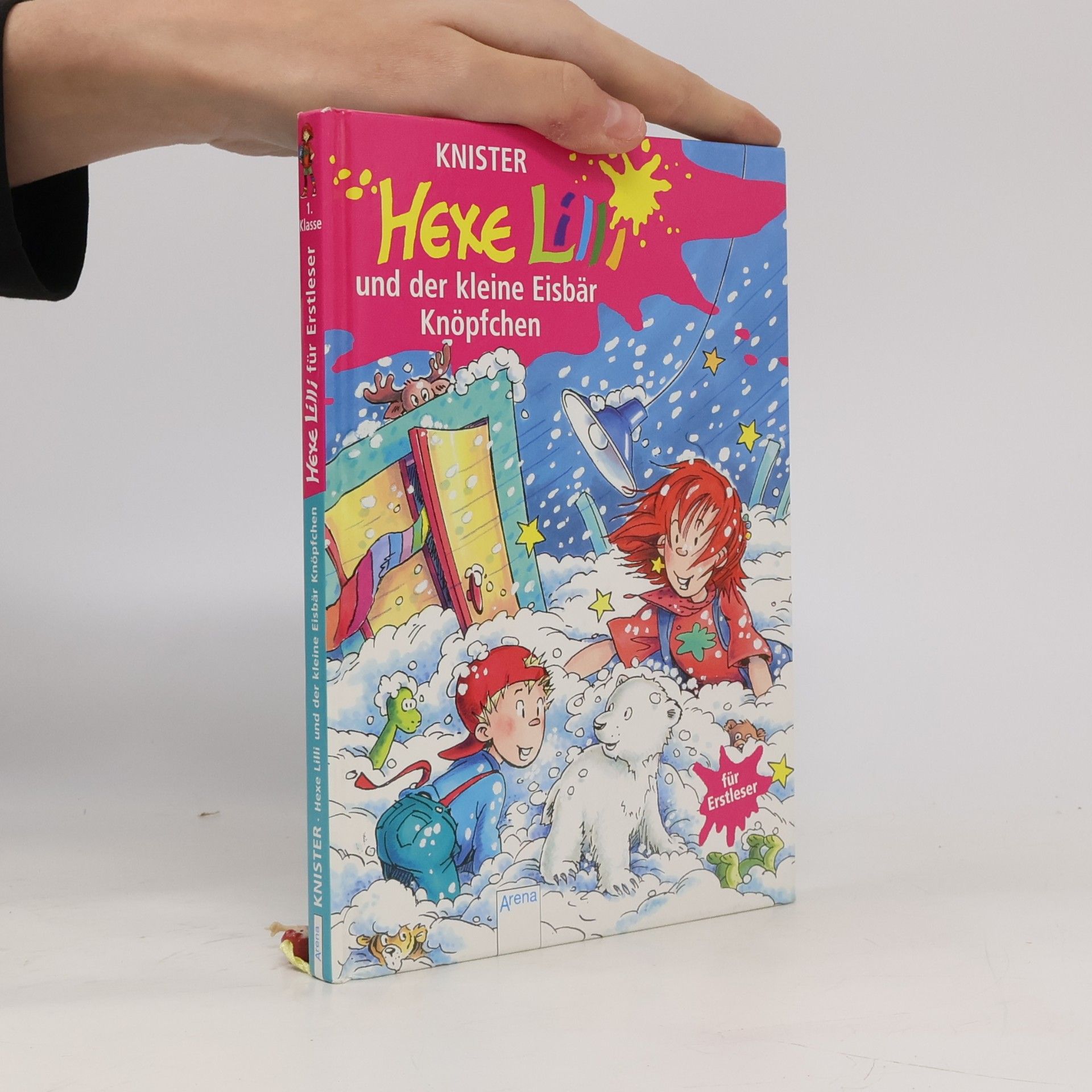 Hexe Lilli und der kleine Eisbär Knöpfchen