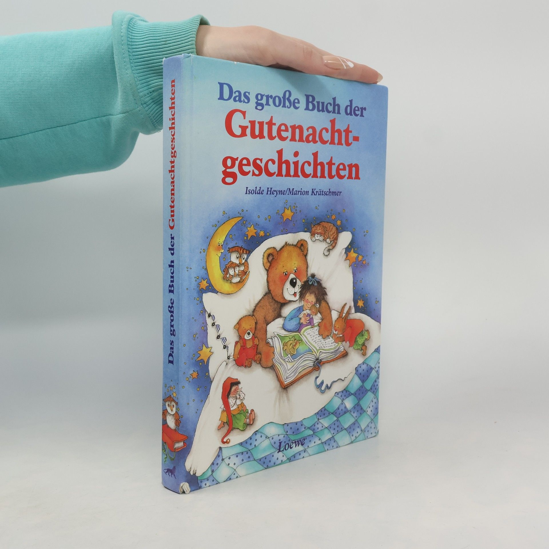 Isolde Heyne Das grosse Buch der Gutenachtgeschichten