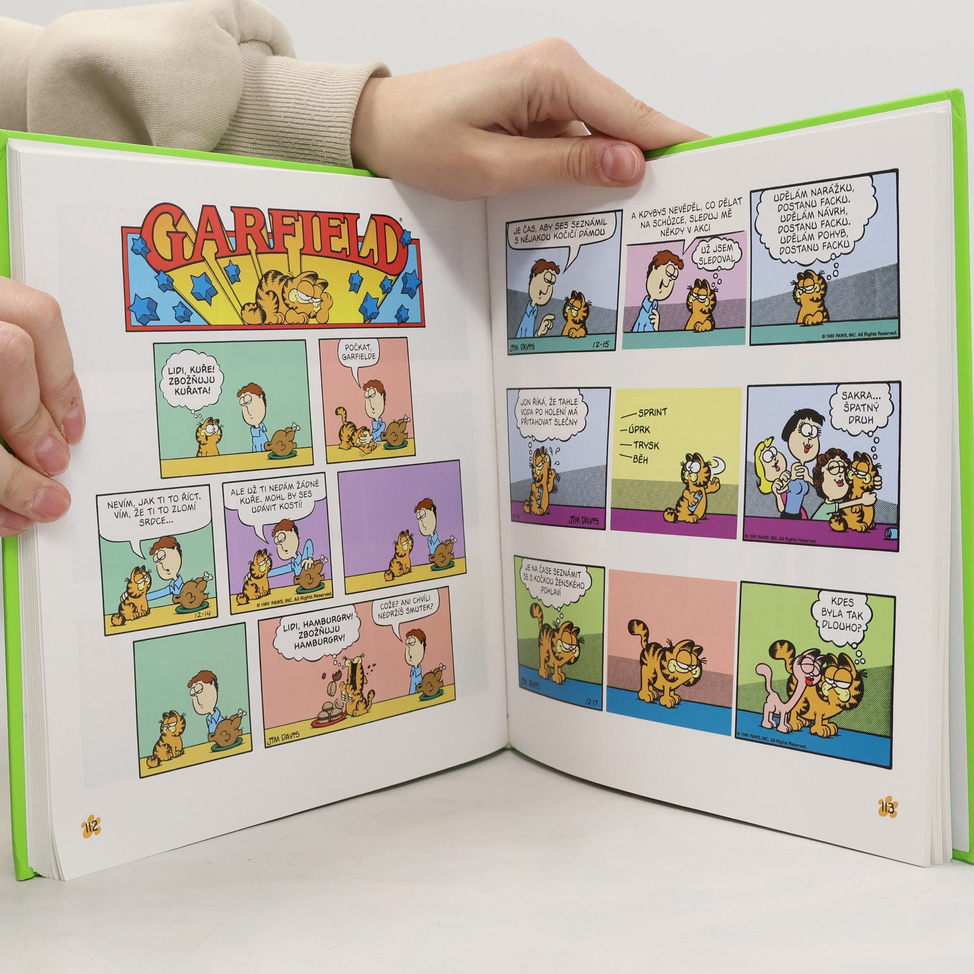 Jim Davis Garfield v plné parádě