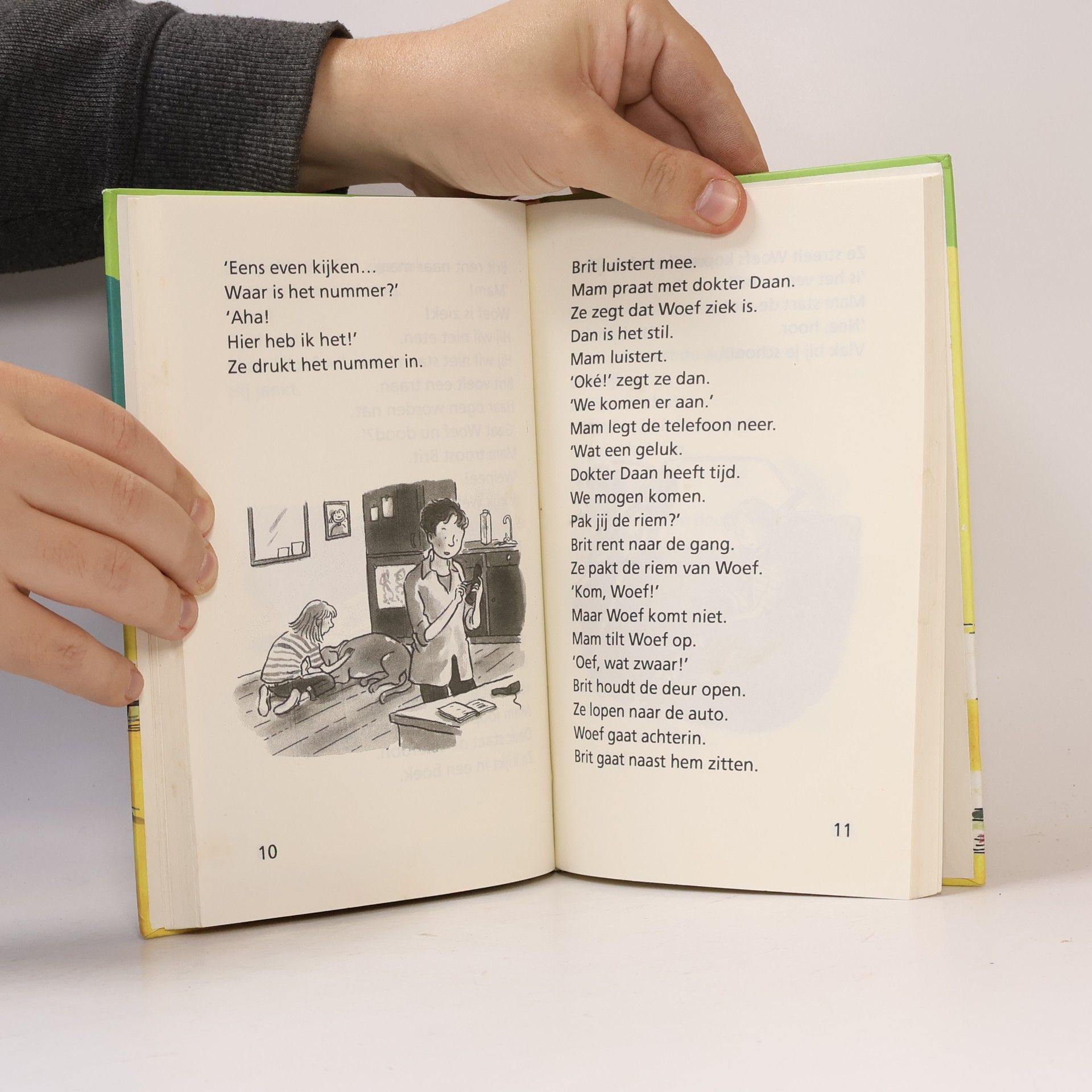 Saskia Halfmouw Een school vol dieren