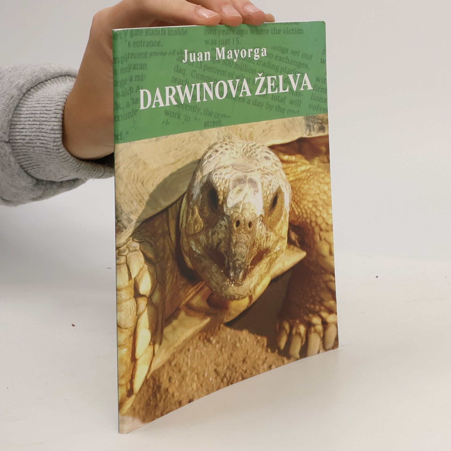 Darwinova želva