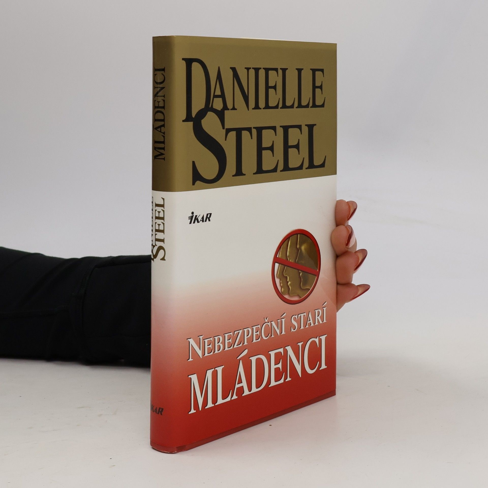 Danielle Steel Nebezpeční starí mládenci