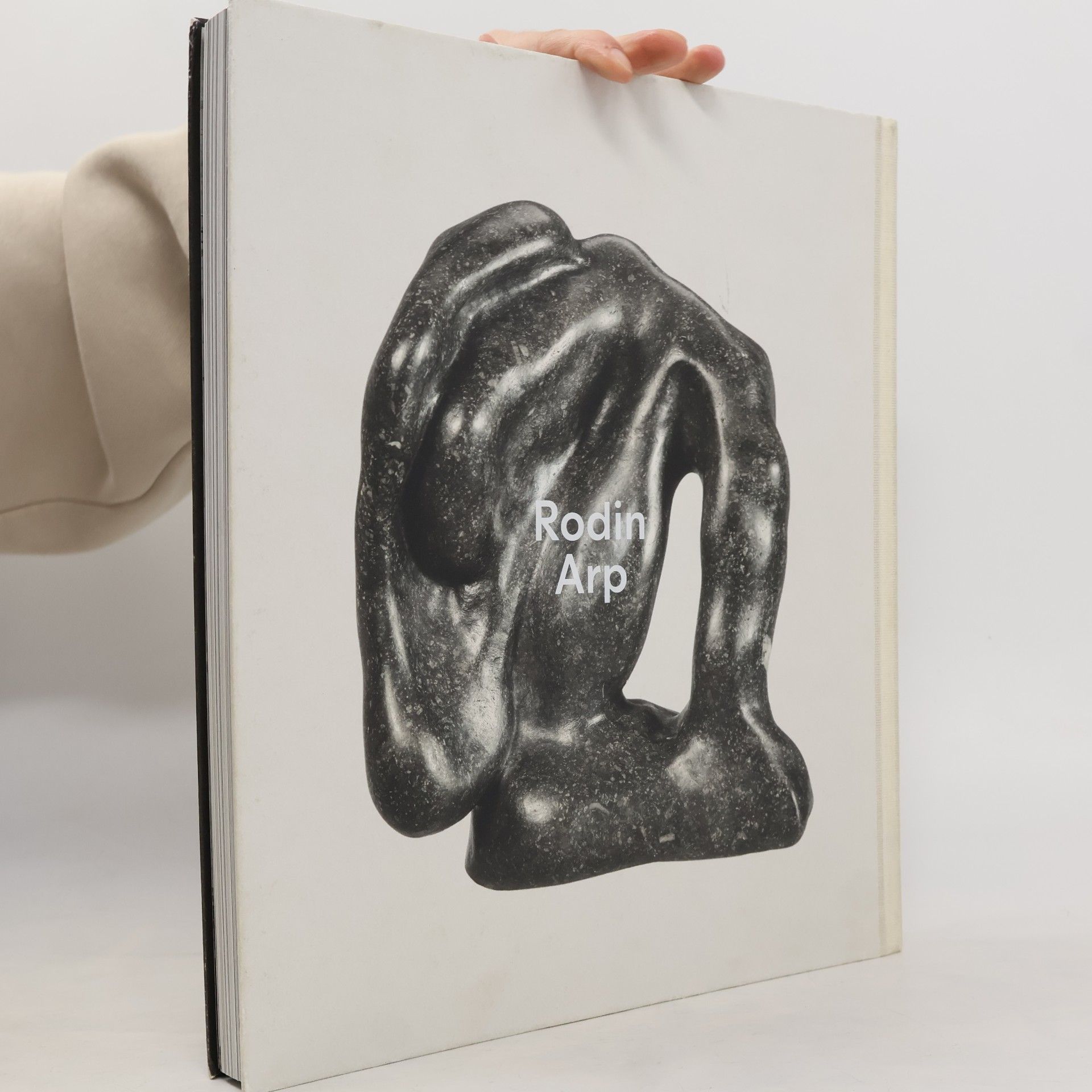 Auguste Rodin Rodin / Arp