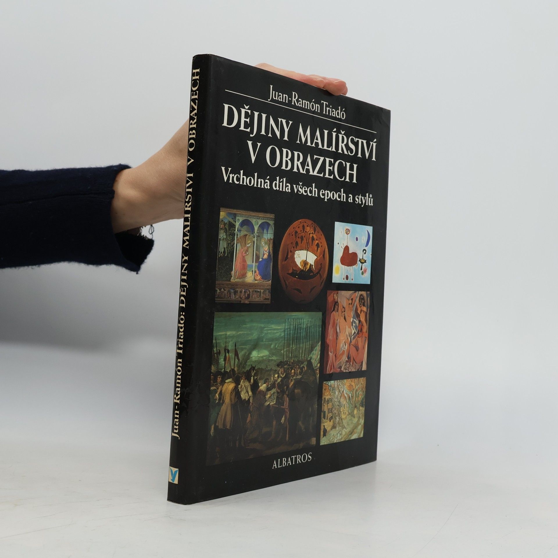 Dějiny malířství v obrazech : vrcholná díla všech epoch a stylů