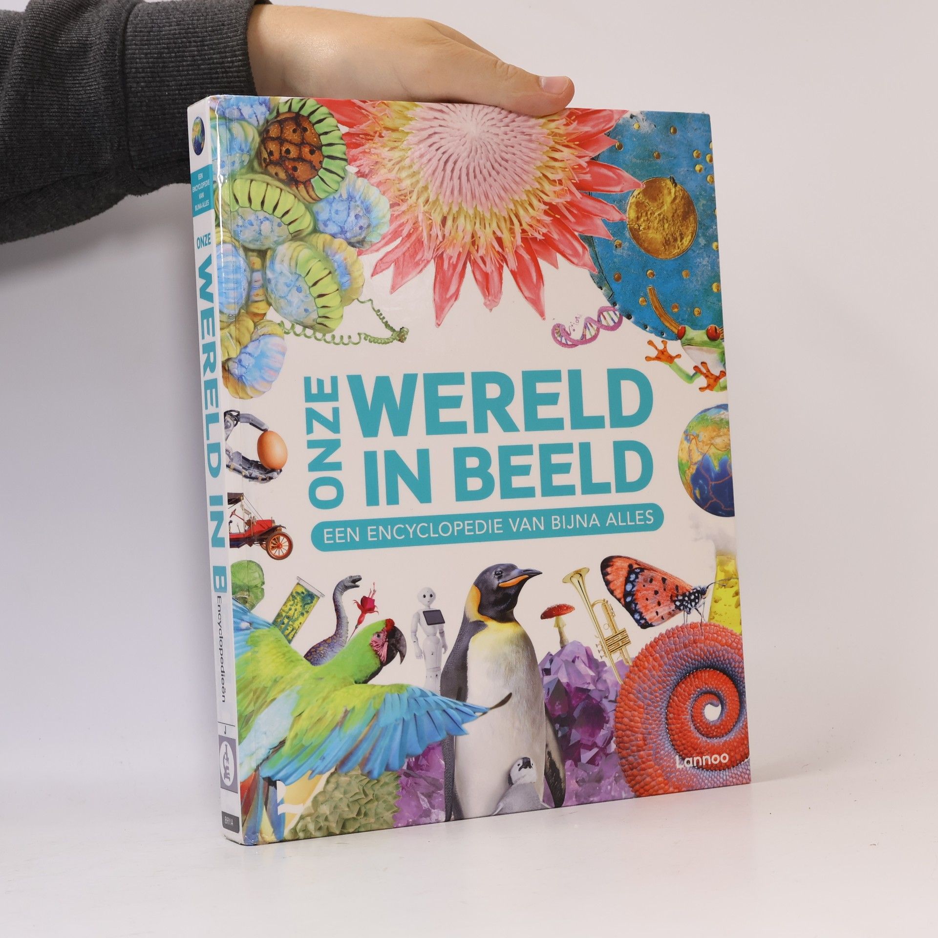 Onze wereld in beeld