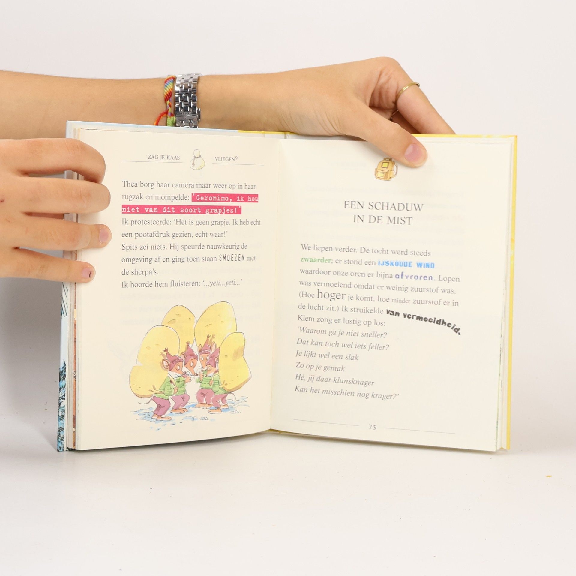 Elisabetta Dami Geronimo Stilton - 7: Bungelend aan een staartje / druk 1