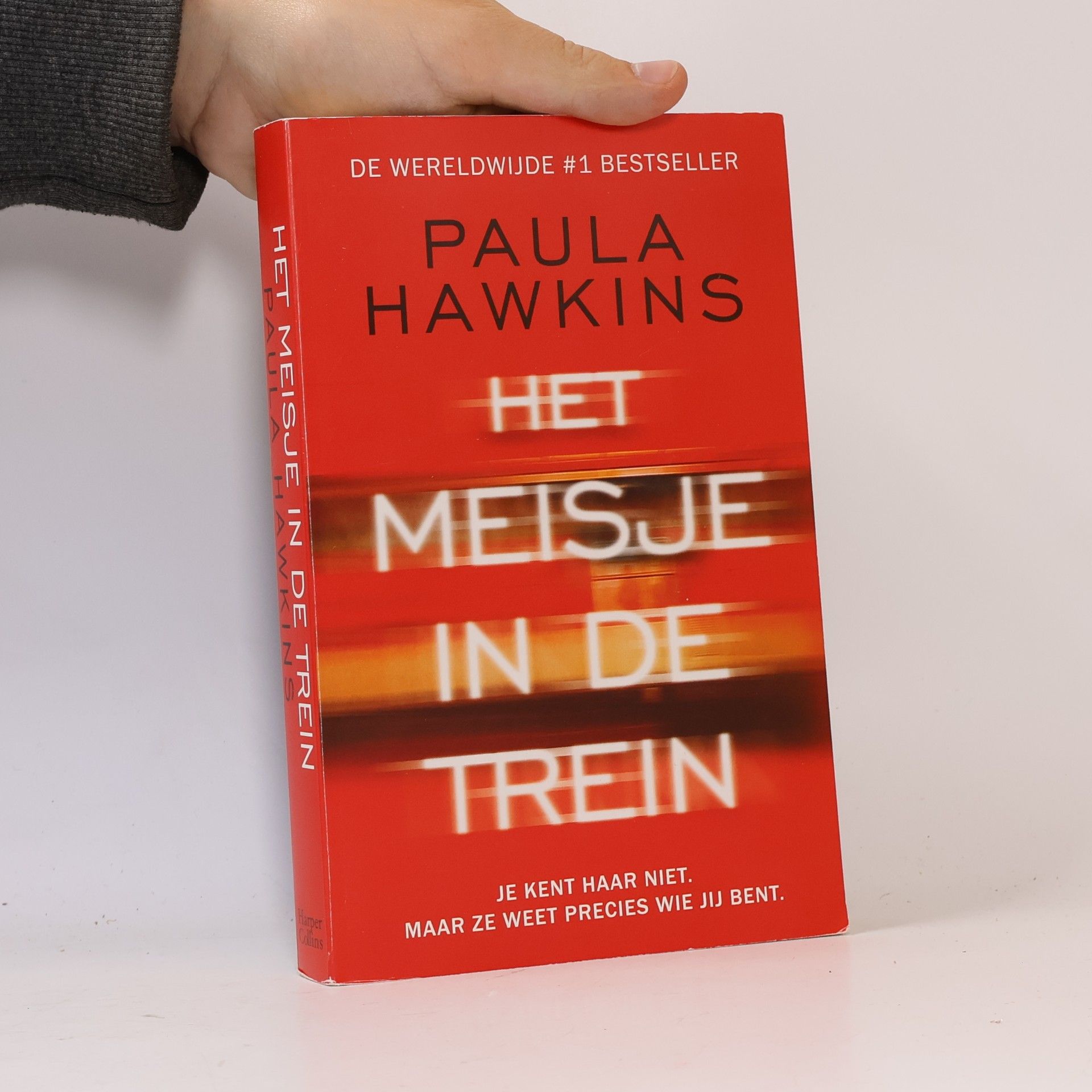 Het Meisje in de Trein