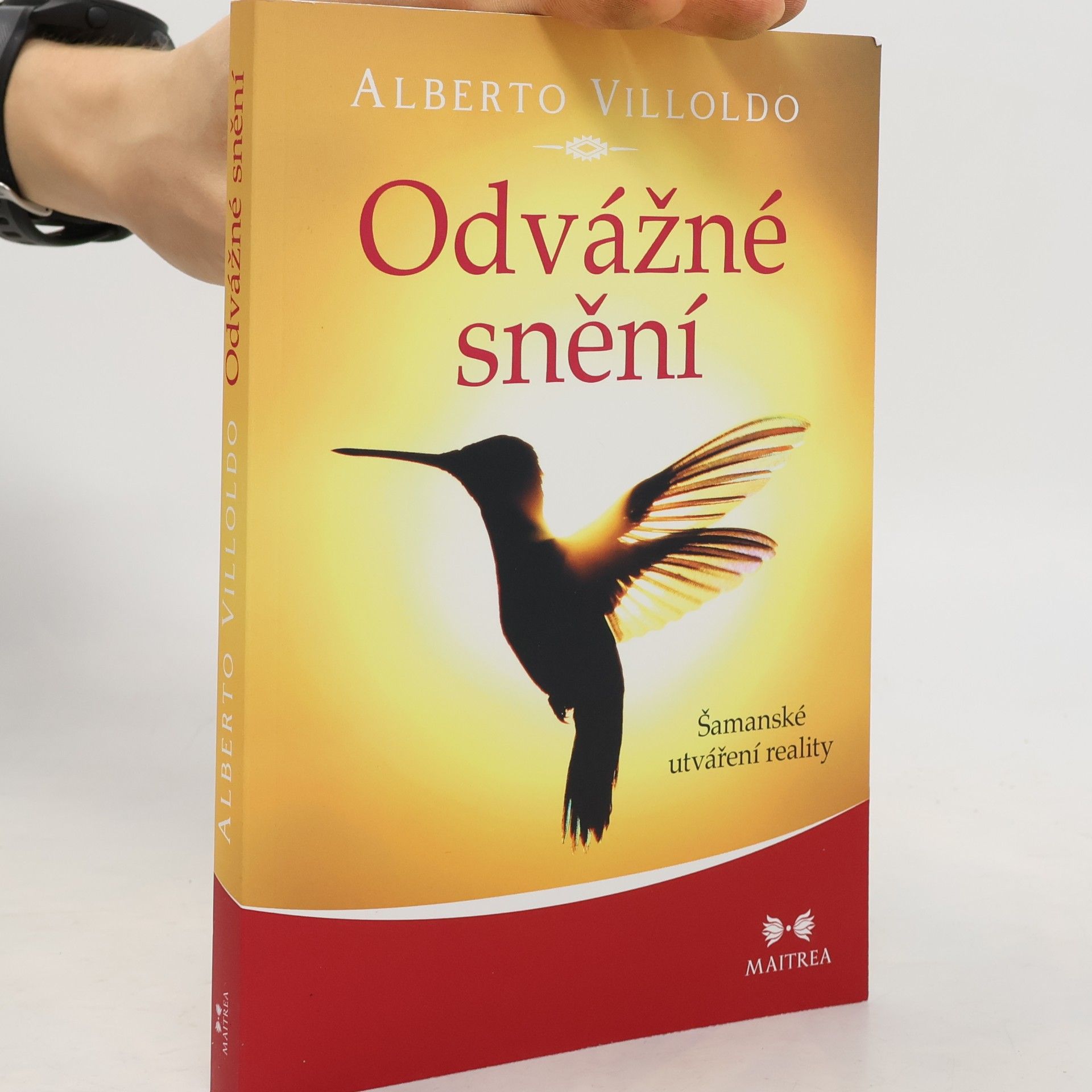 Odvážné snění : šamanské utváření reality